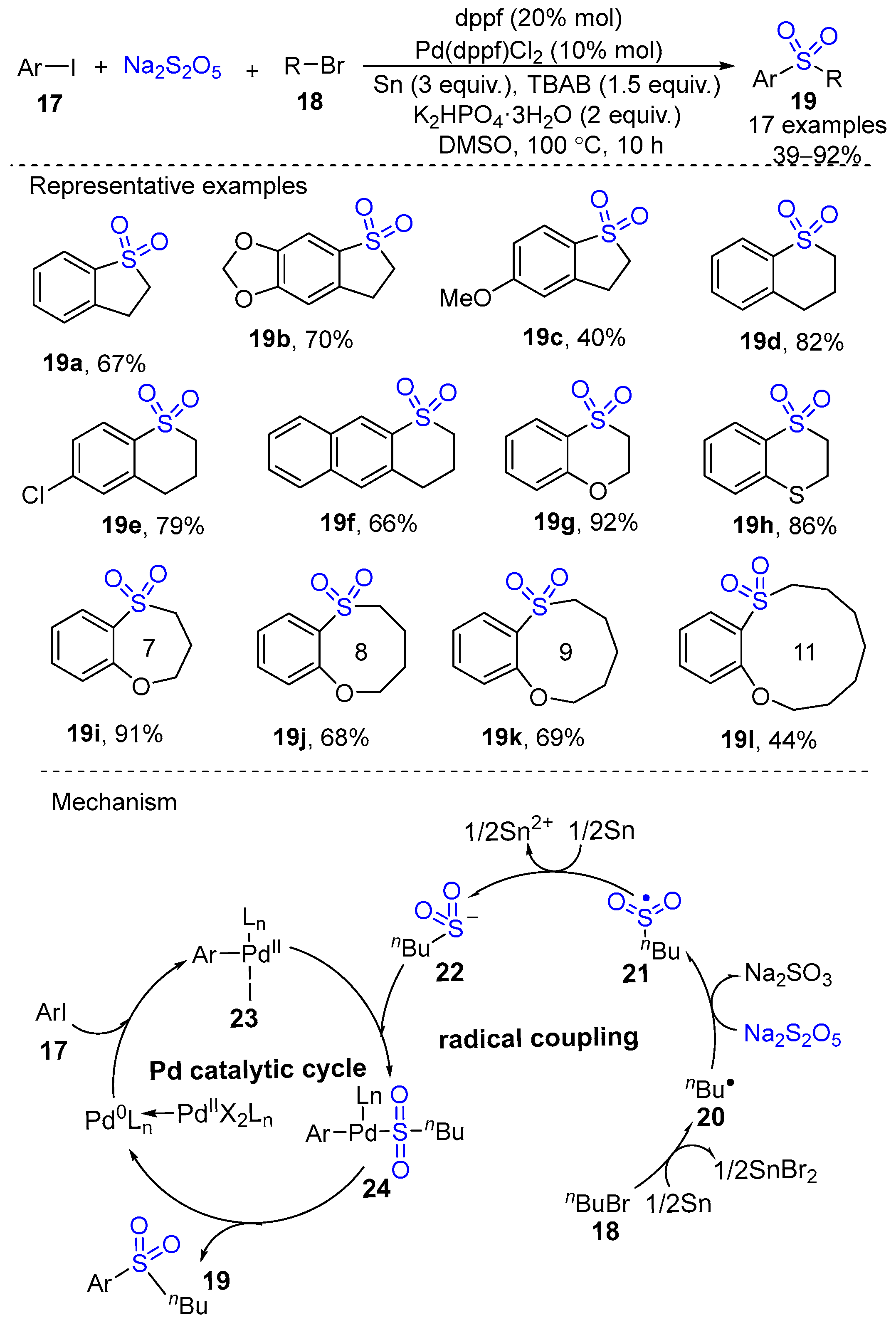 Molecules 29 05868 sch006