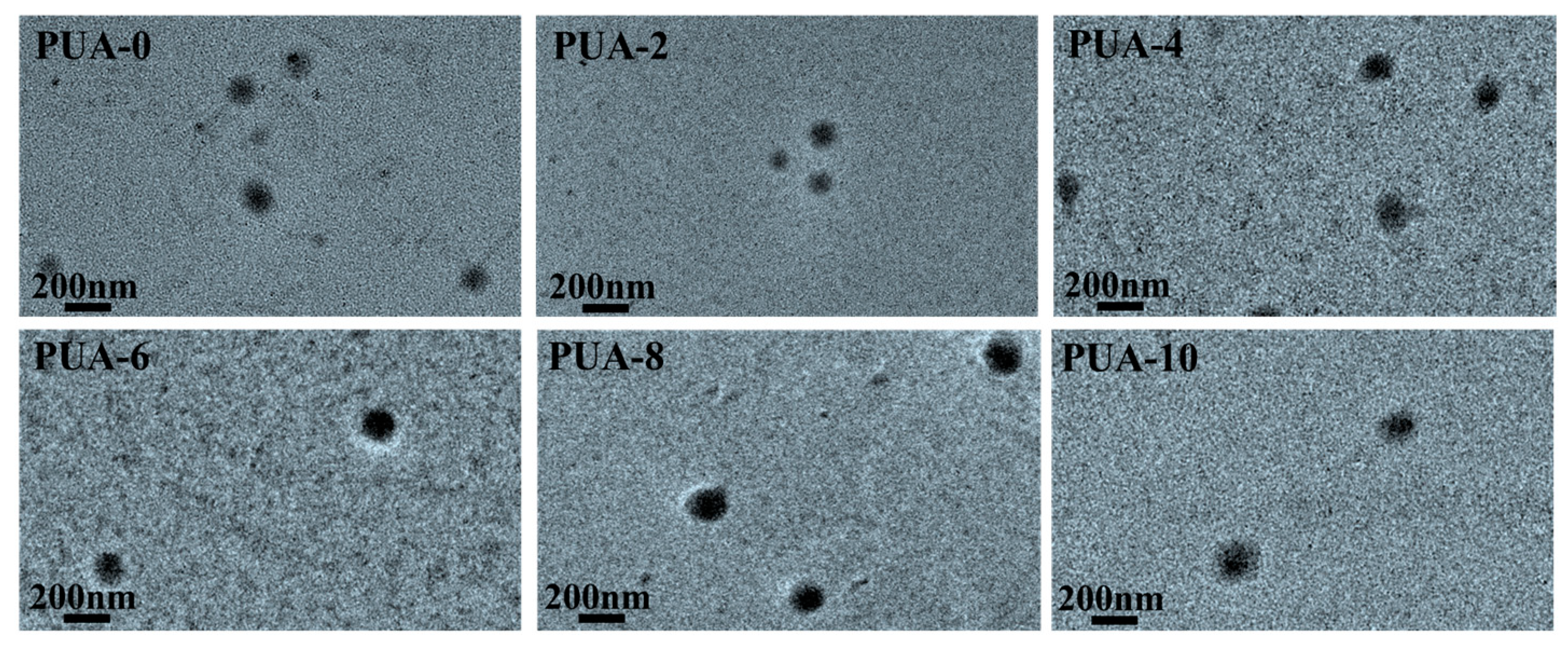 Molecules 29 05870 g001
