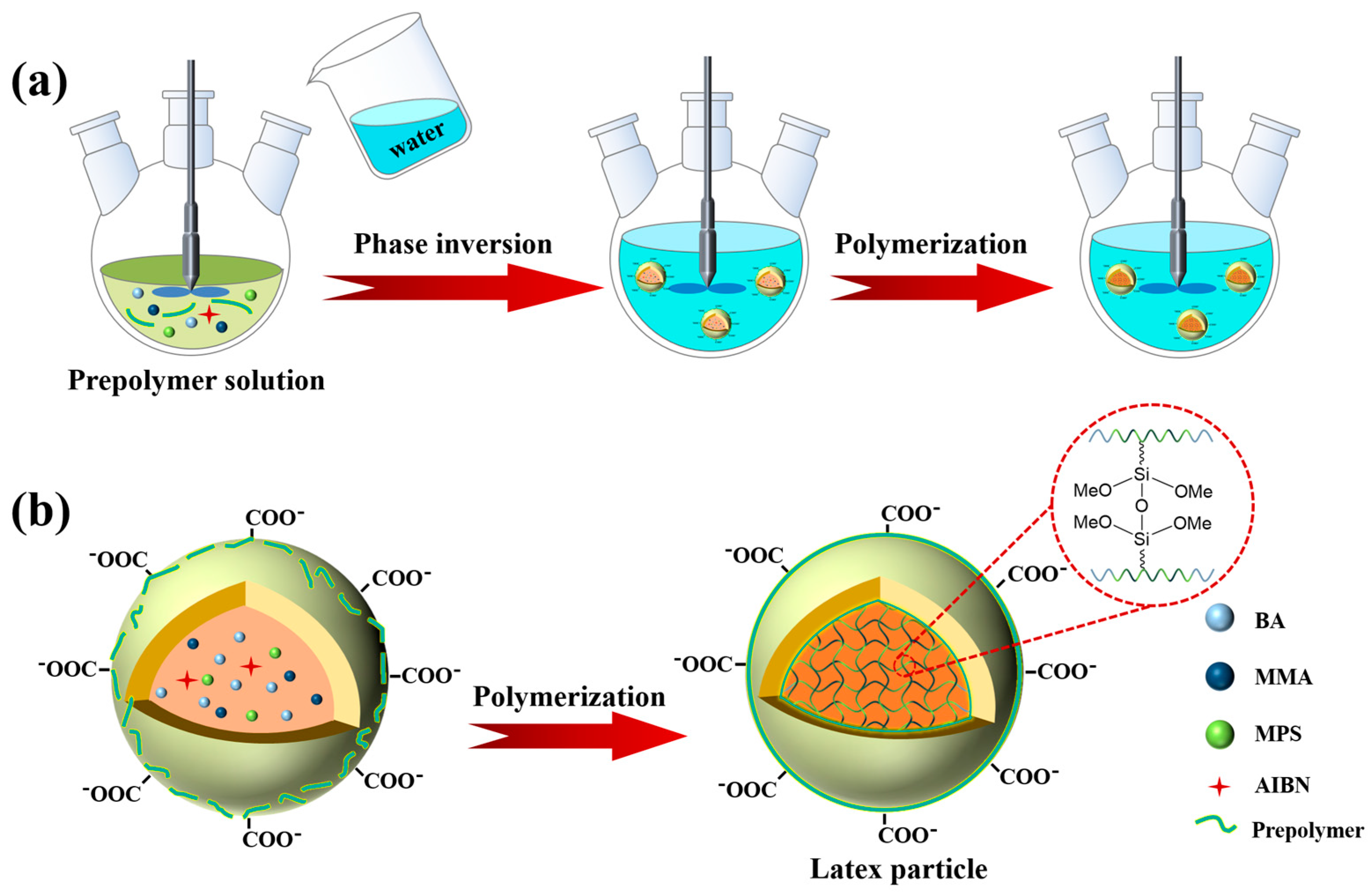 Molecules 29 05870 g003