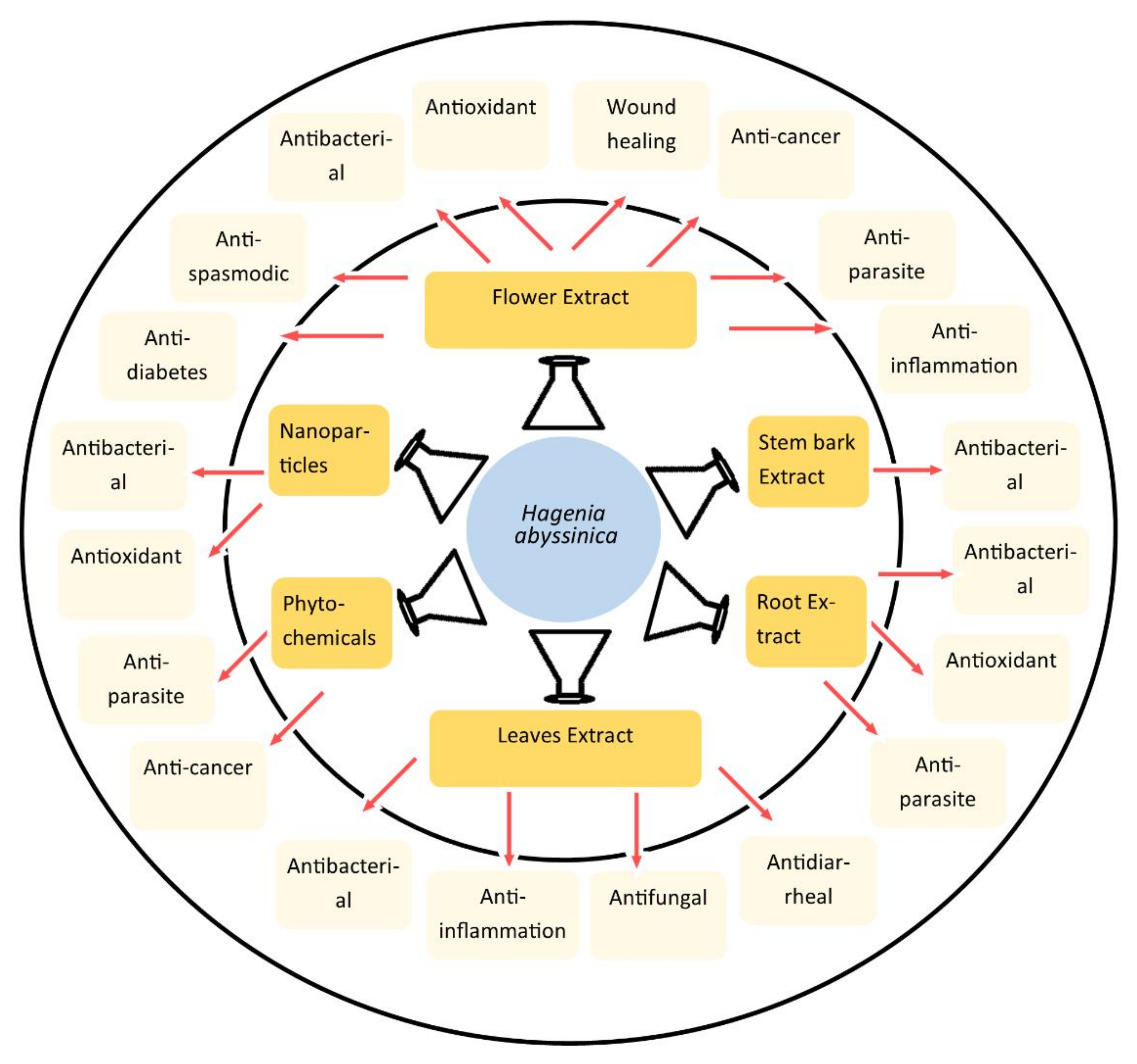 Molecules 29 05871 g001