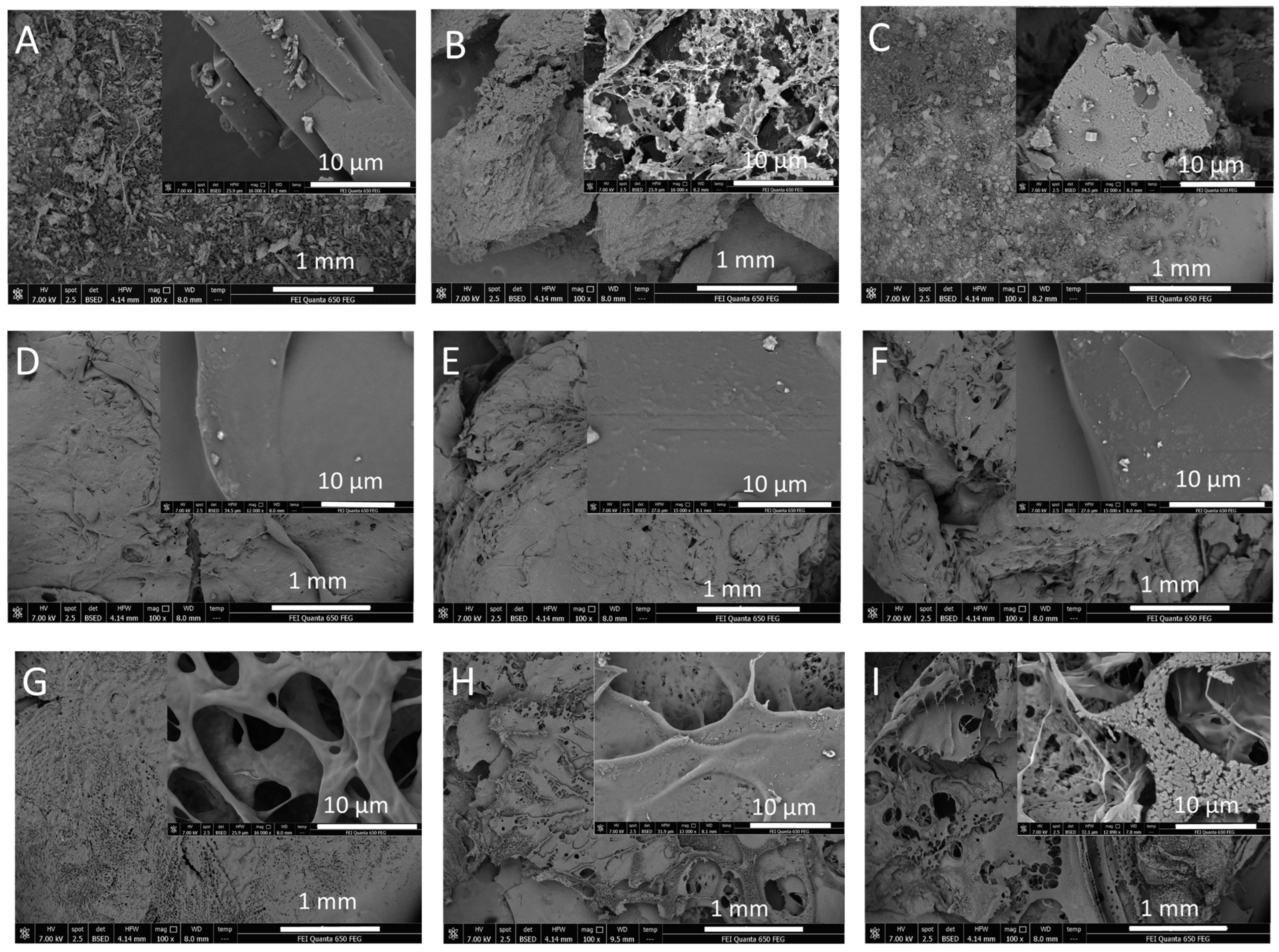 Molecules 29 05877 g008