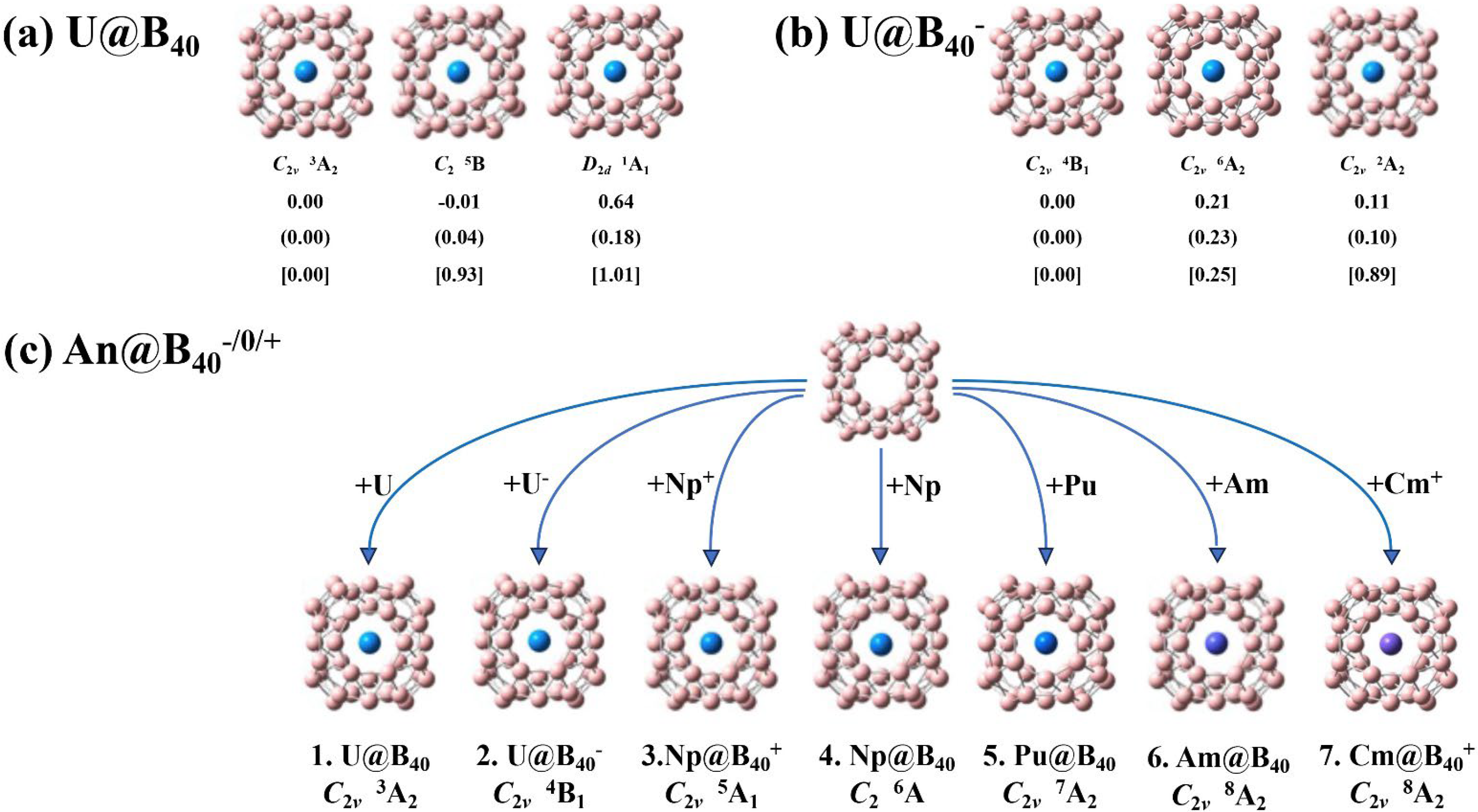 Molecules 29 05879 g001