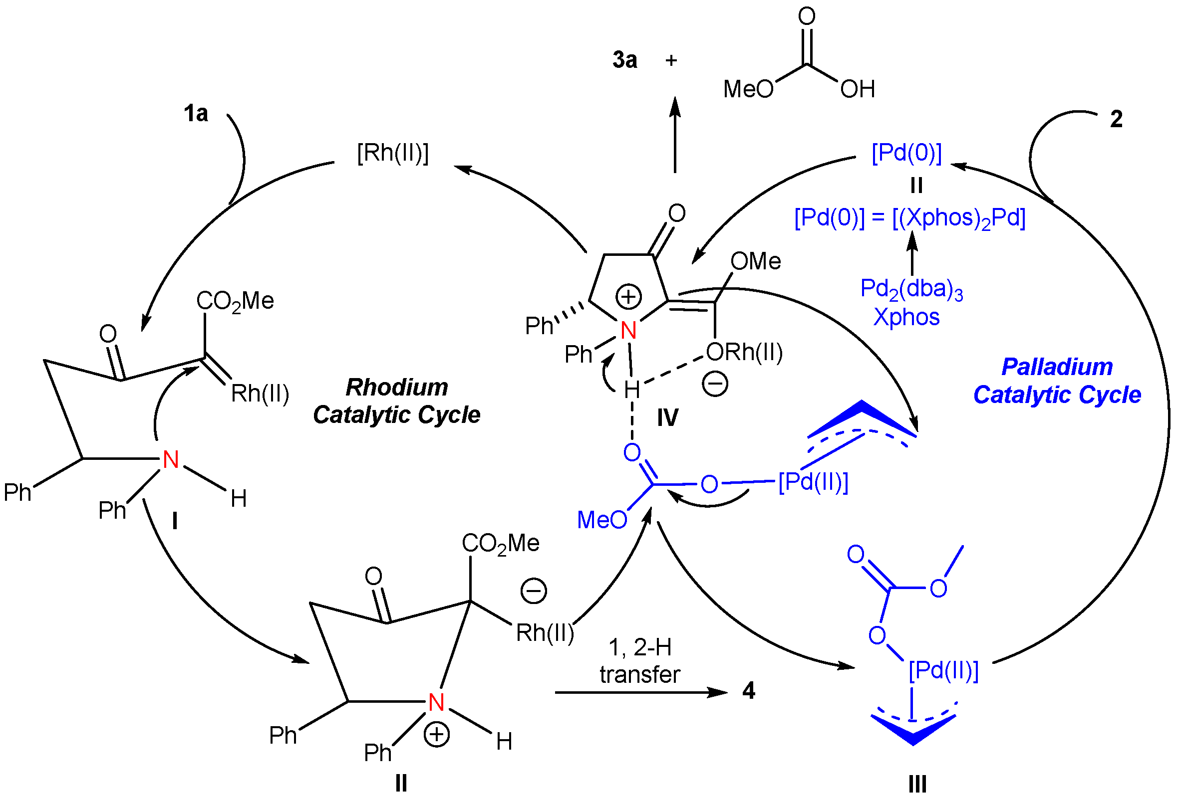 Molecules 29 05880 g003