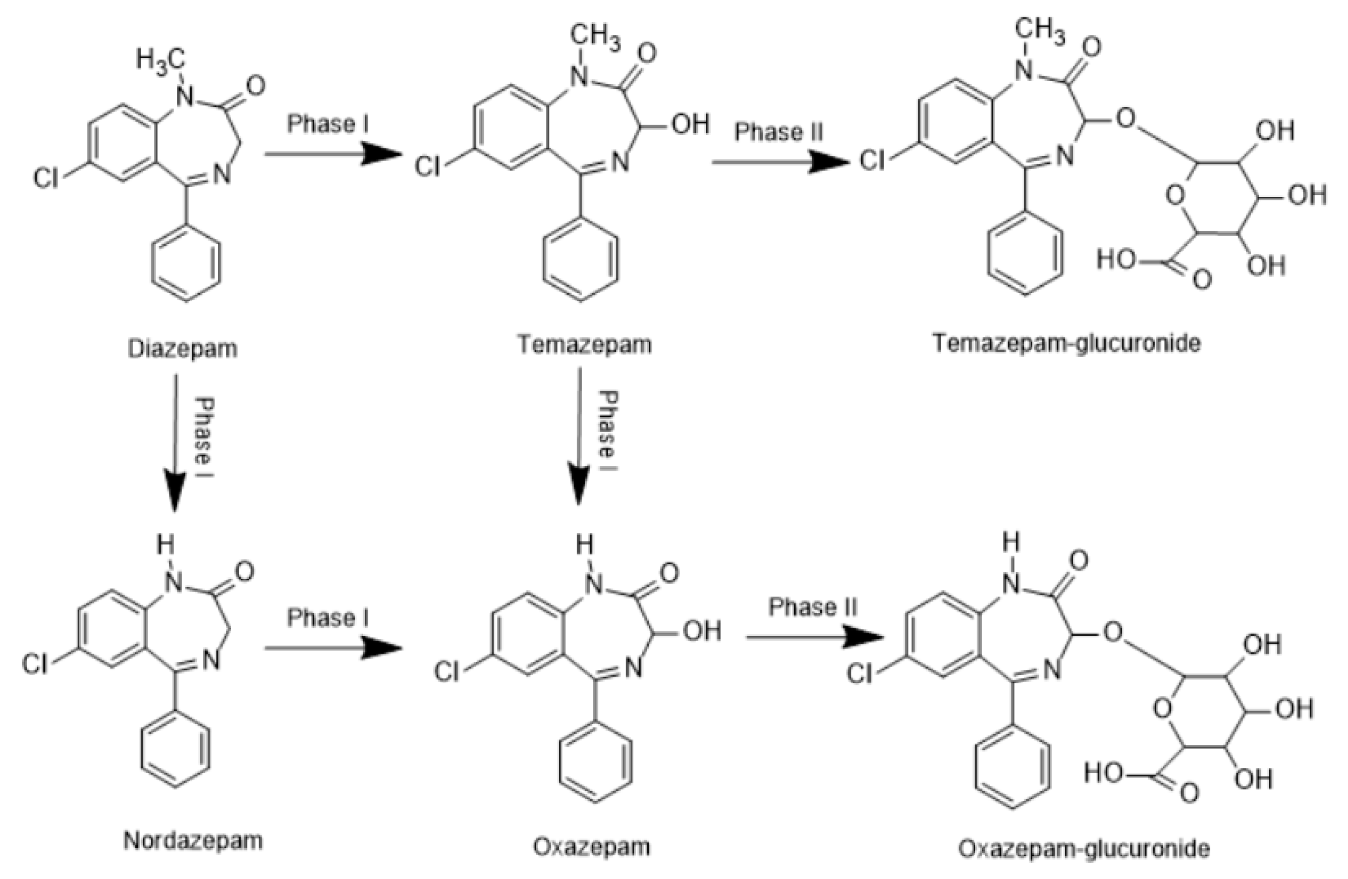 Molecules 29 05884 sch001