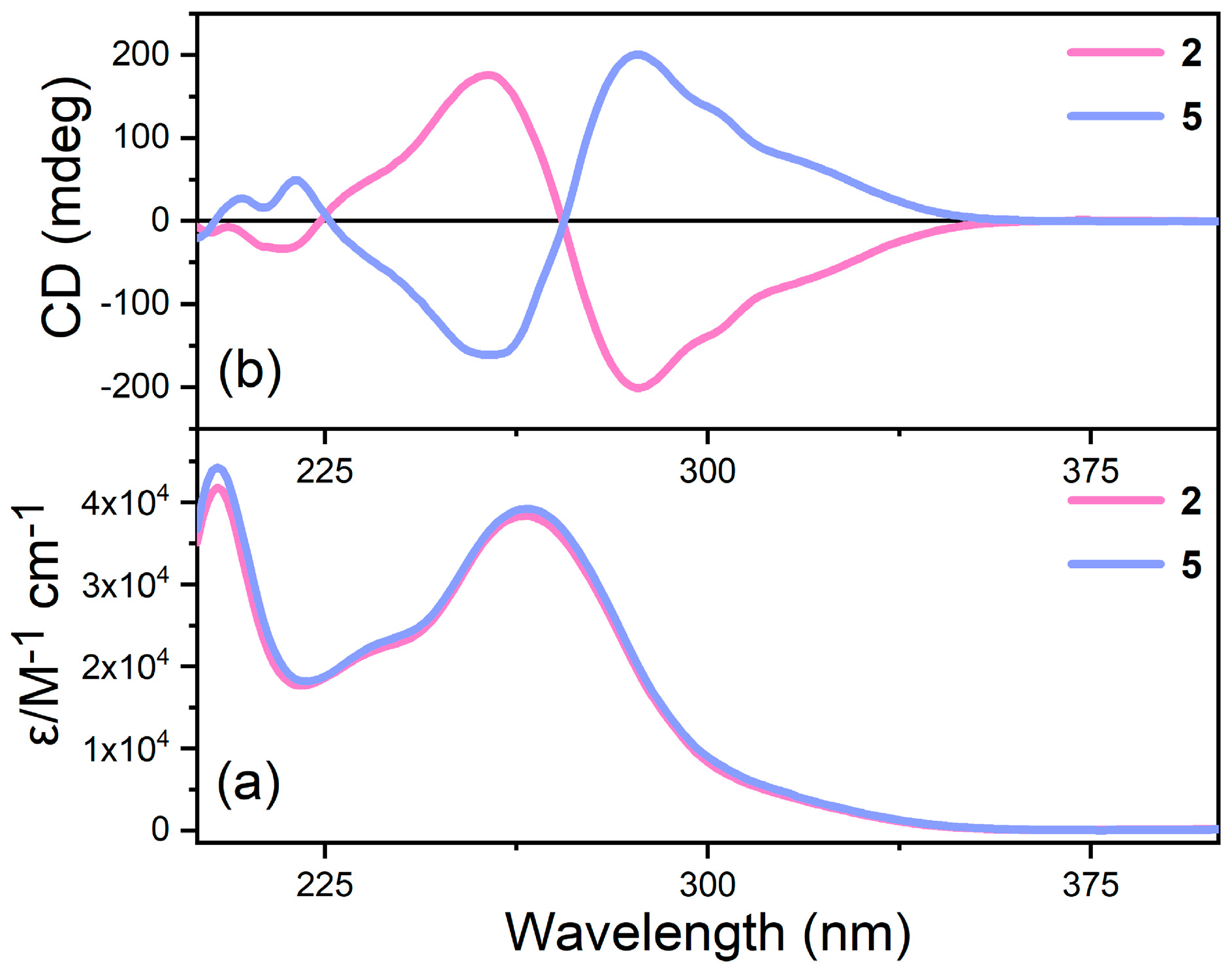 Molecules 29 05887 g002