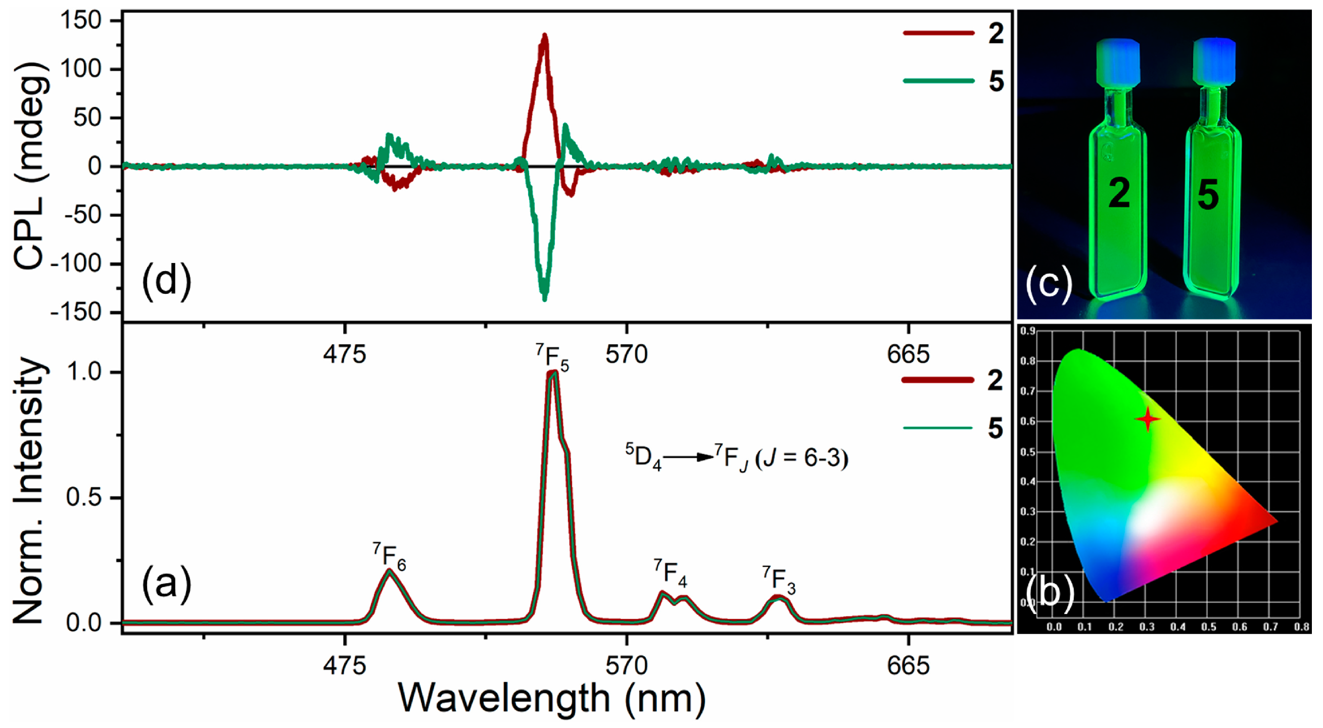 Molecules 29 05887 g003