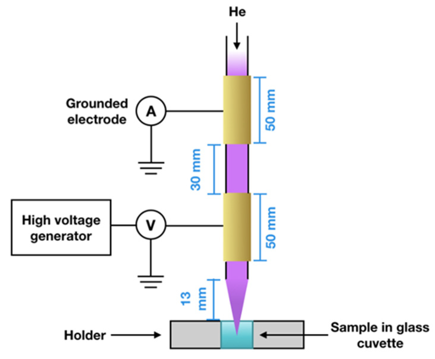 Molecules 29 05889 g006