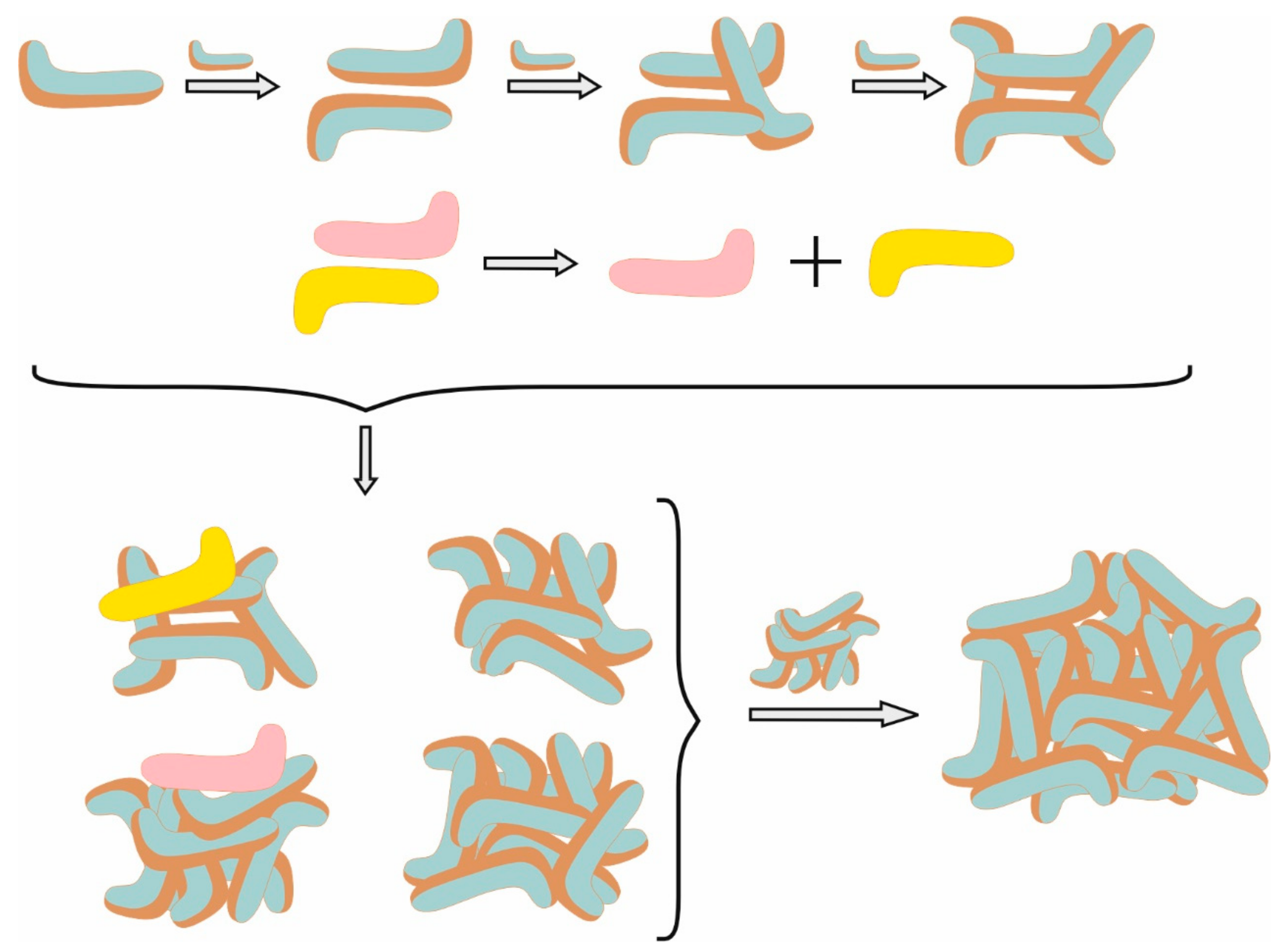 Molecules 29 05897 g002