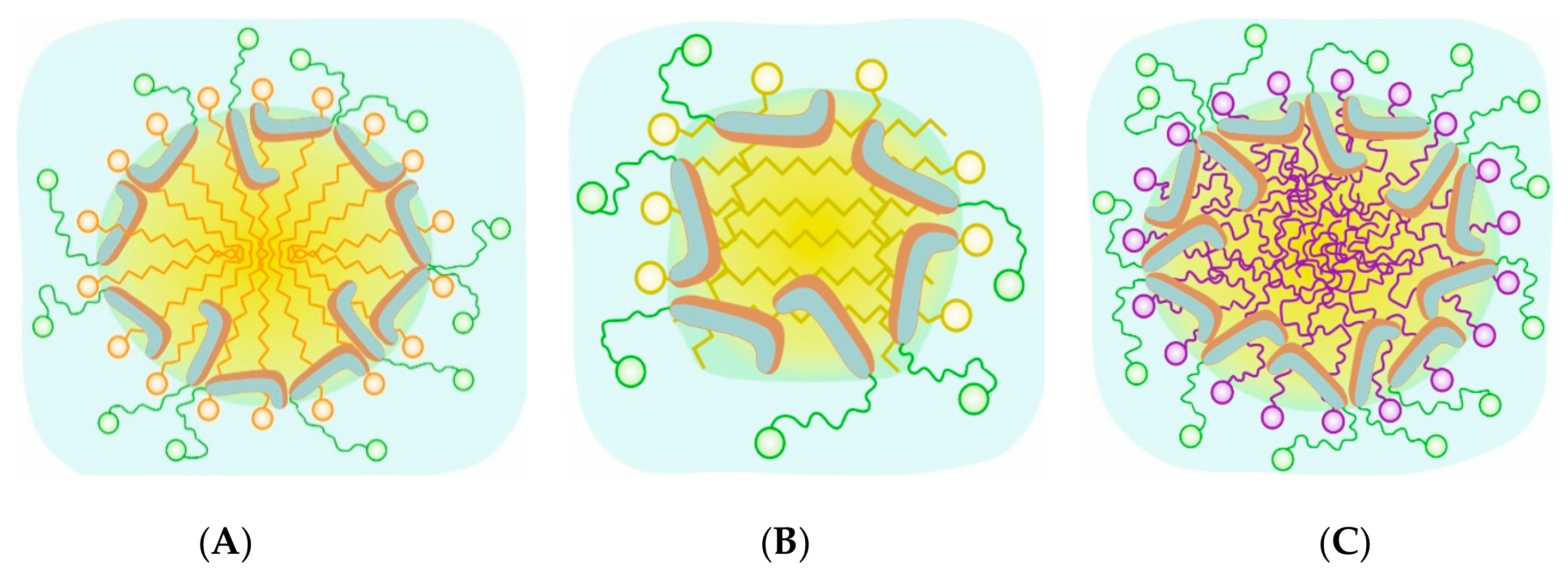Molecules 29 05897 g007