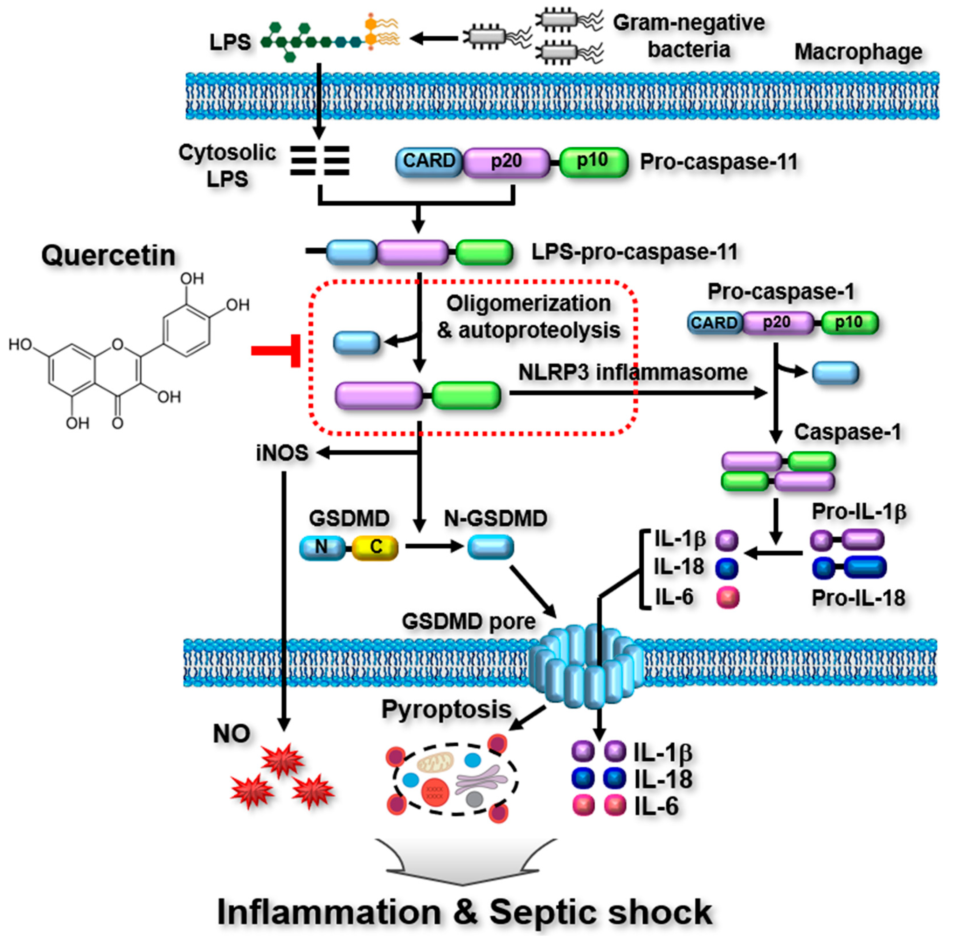 Molecules 29 05900 g005