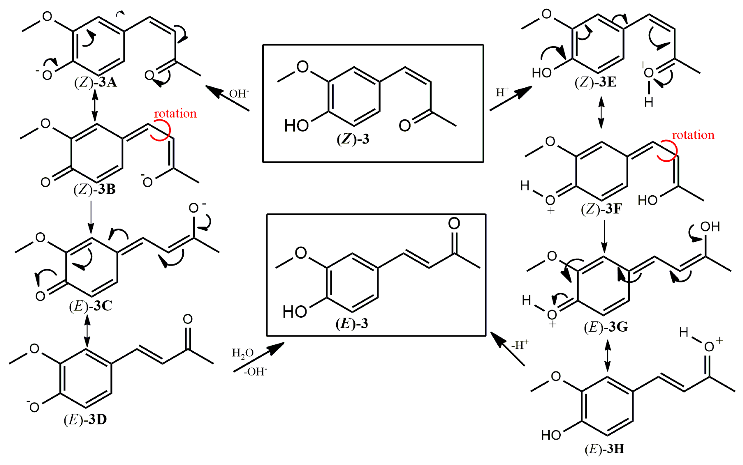 Molecules 29 05901 sch002