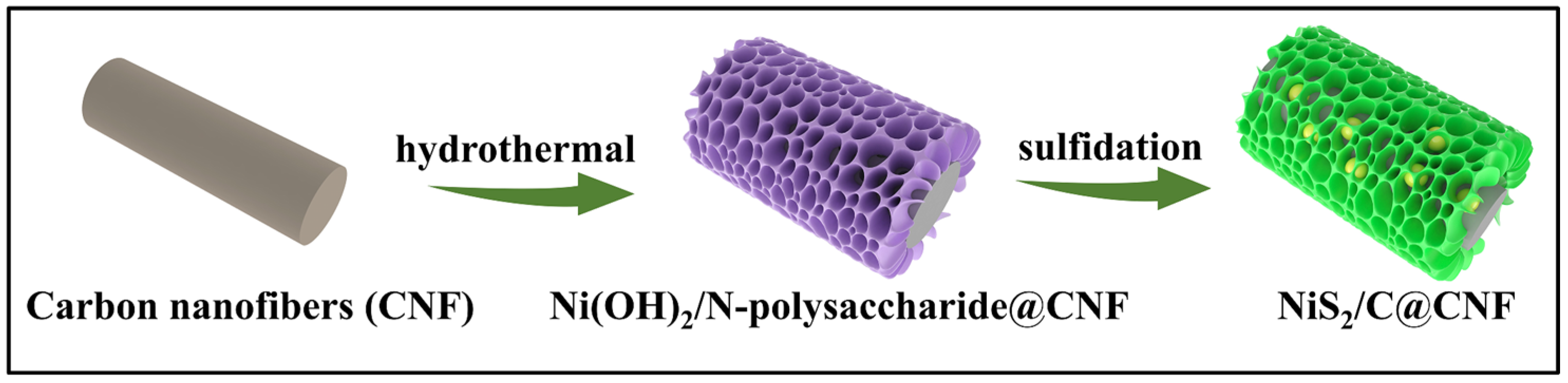 Molecules 29 05906 g001