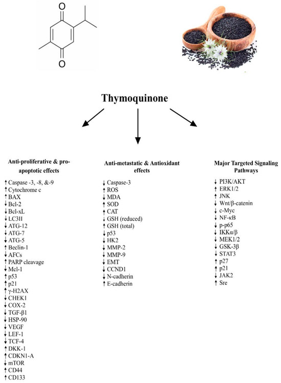 Molecular Mechanisms and Signaling Pathways Underlying the Therapeutic ...