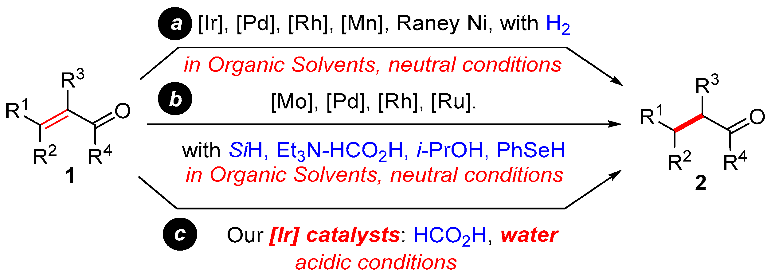 Molecules 29 05912 sch001