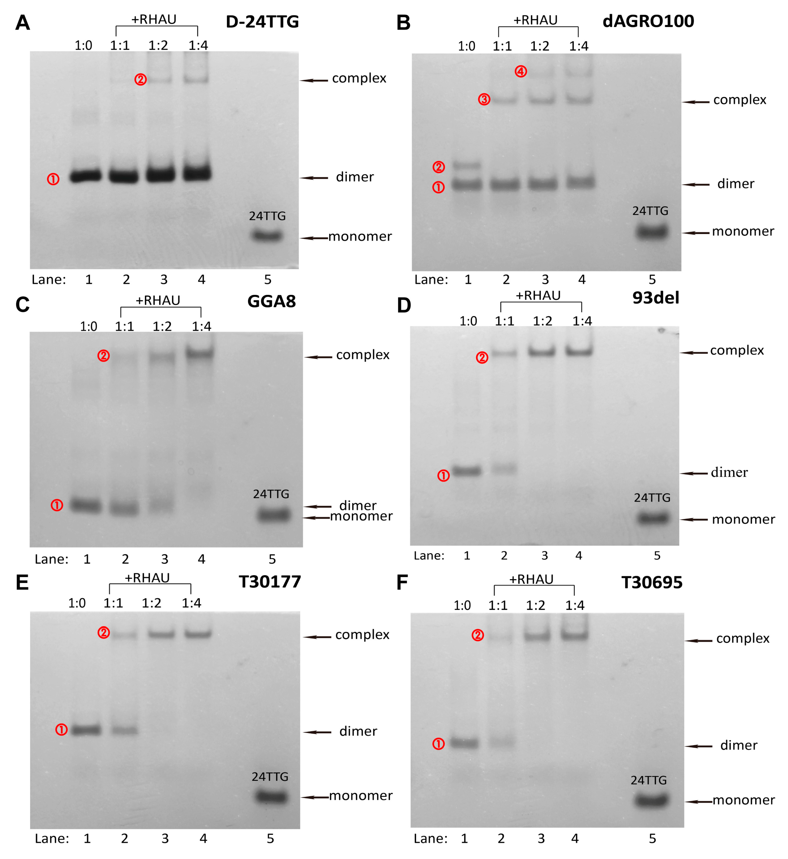 Molecules 29 05915 g005