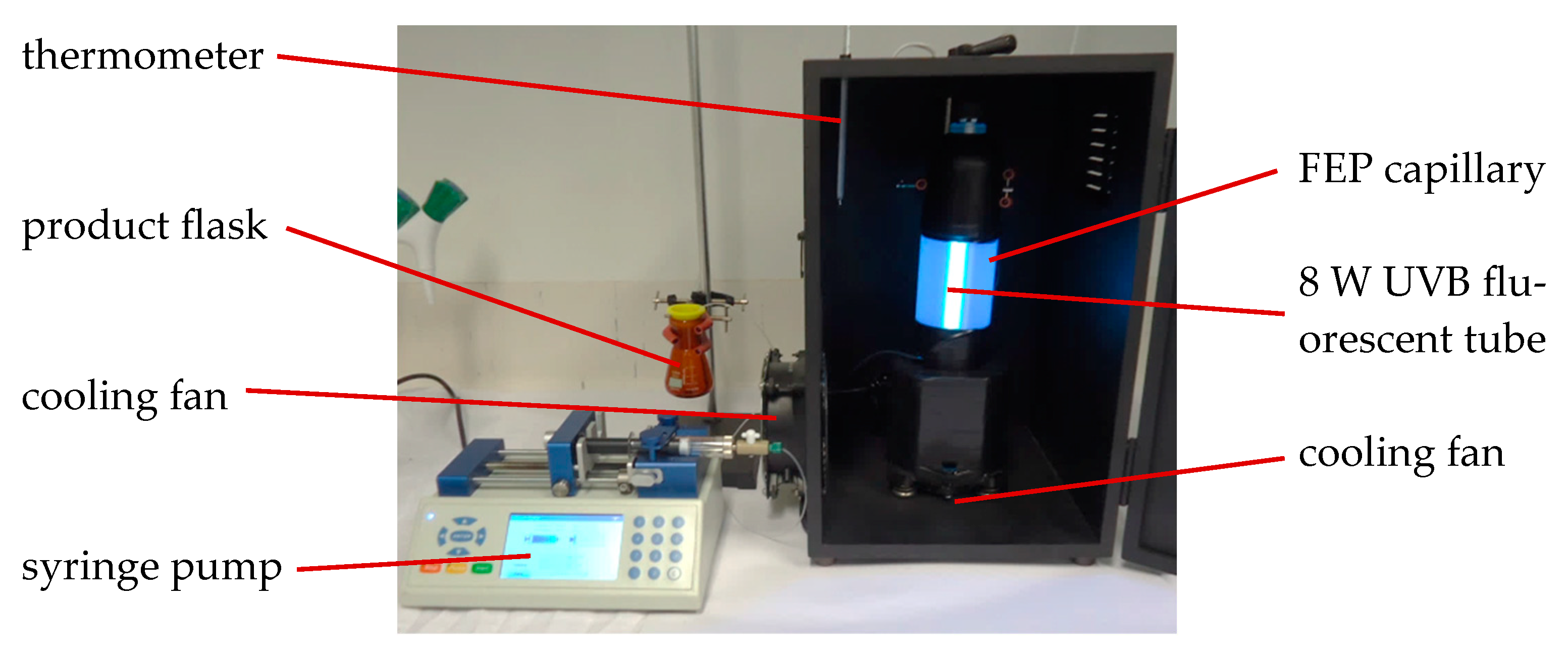 Molecules 29 05920 g006