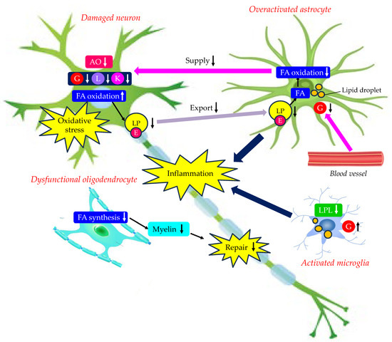 ヒロキ Management of Rheumatoid Arthritis: Possibilities and