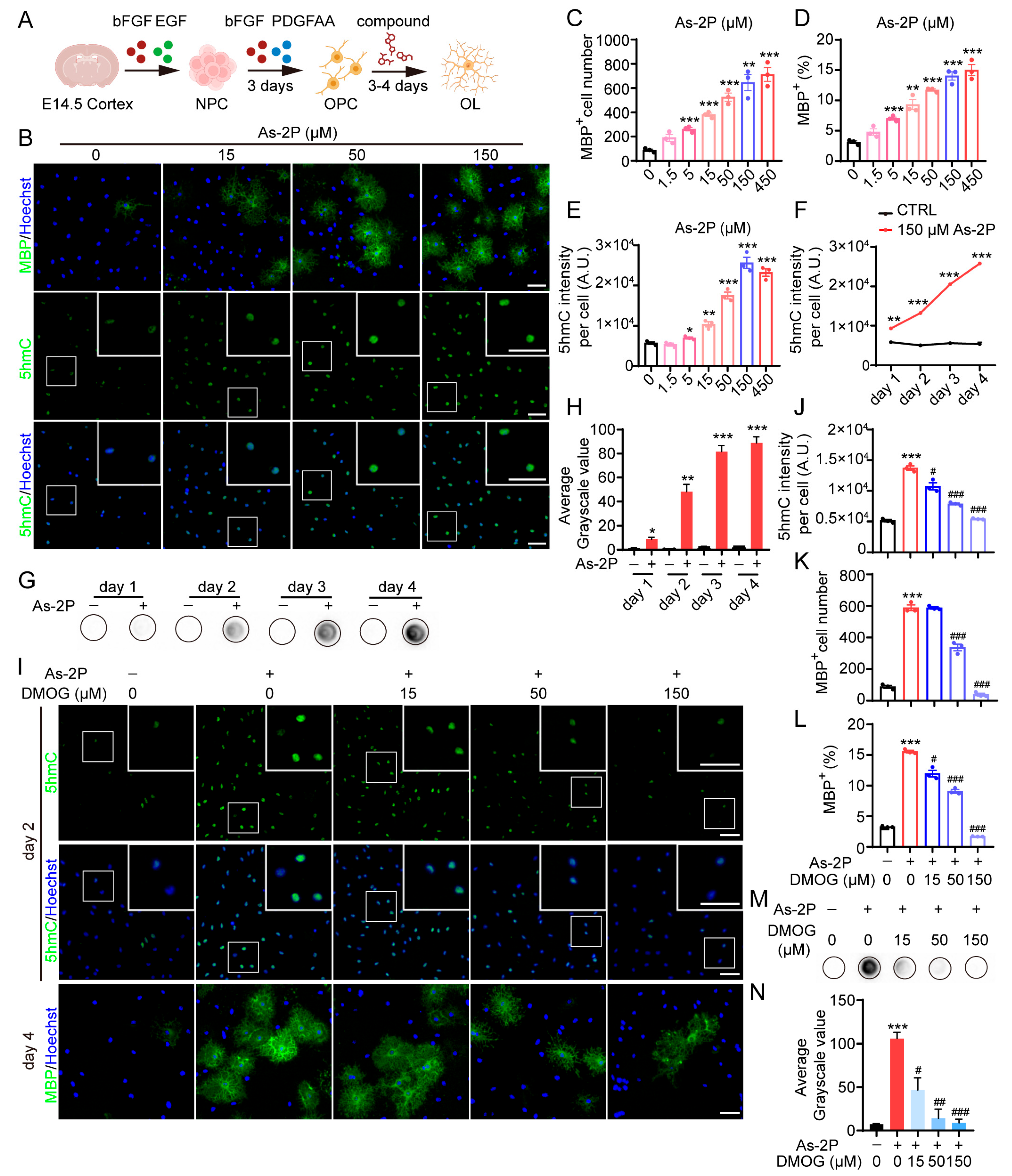Molecules 29 05939 g001