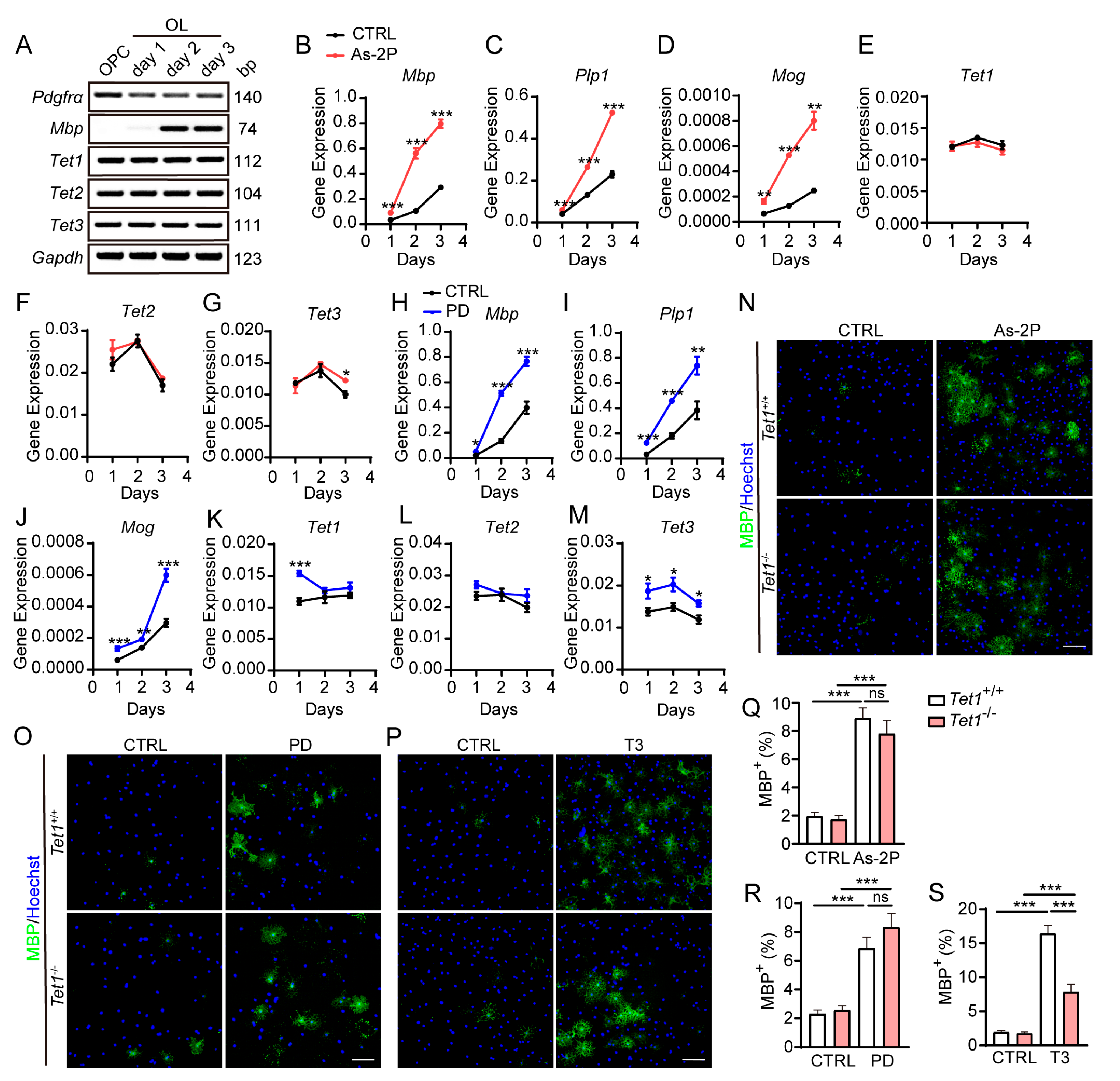 Molecules 29 05939 g003