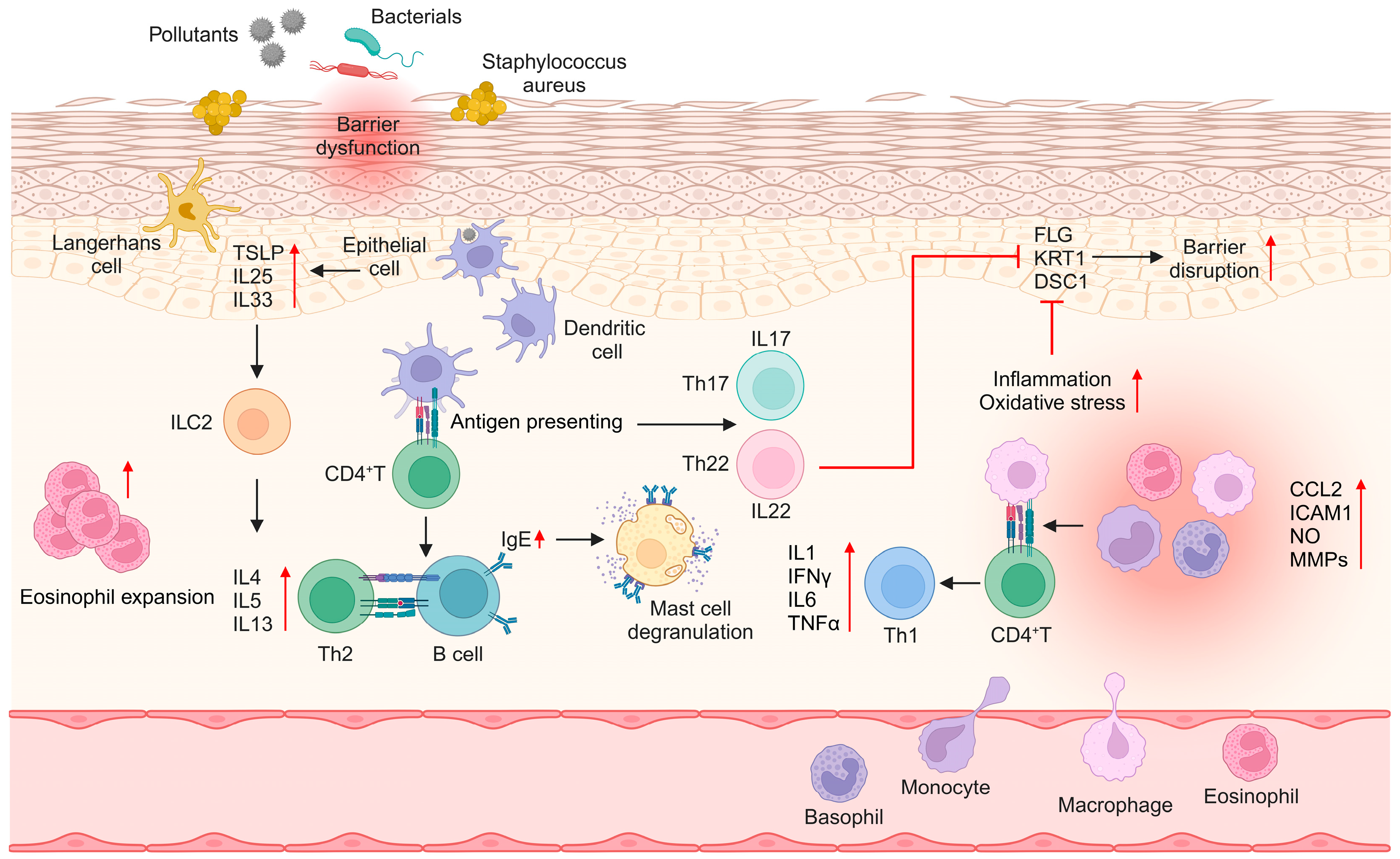 Molecules 29 05951 g001