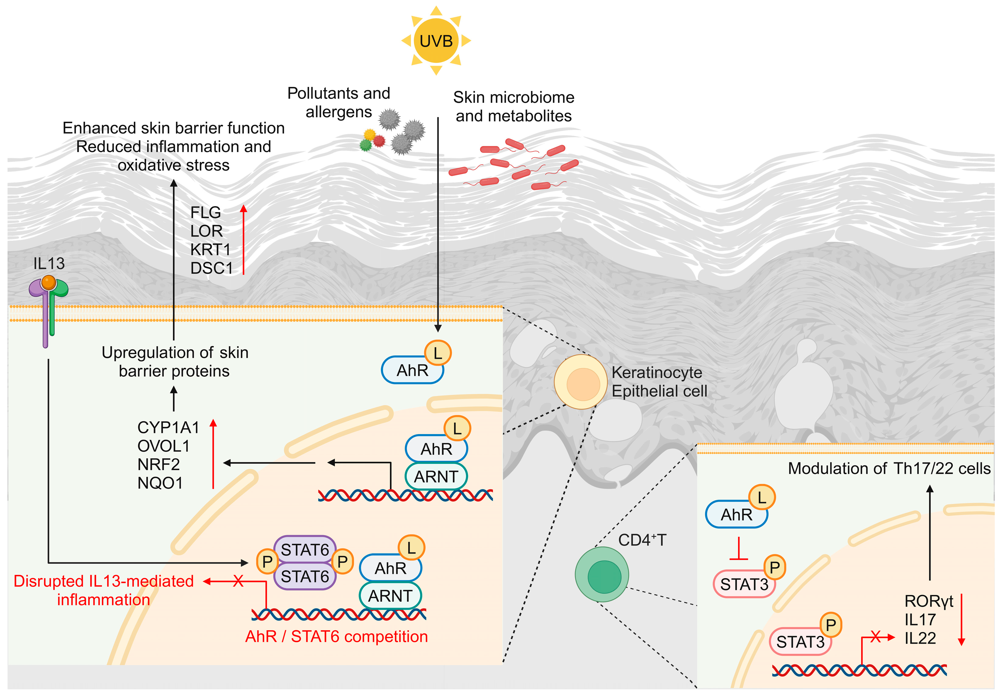 Molecules 29 05951 g002