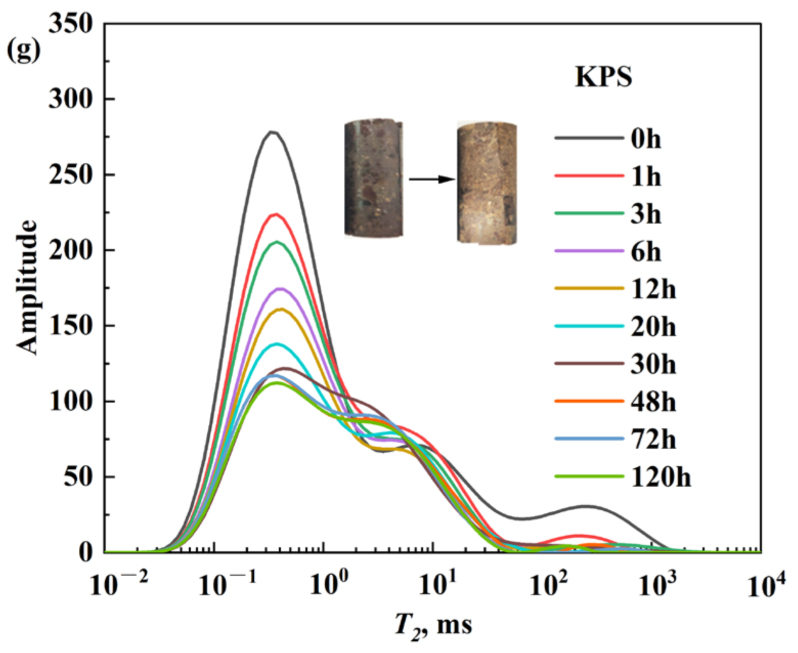 Molecules 29 05953 g007b