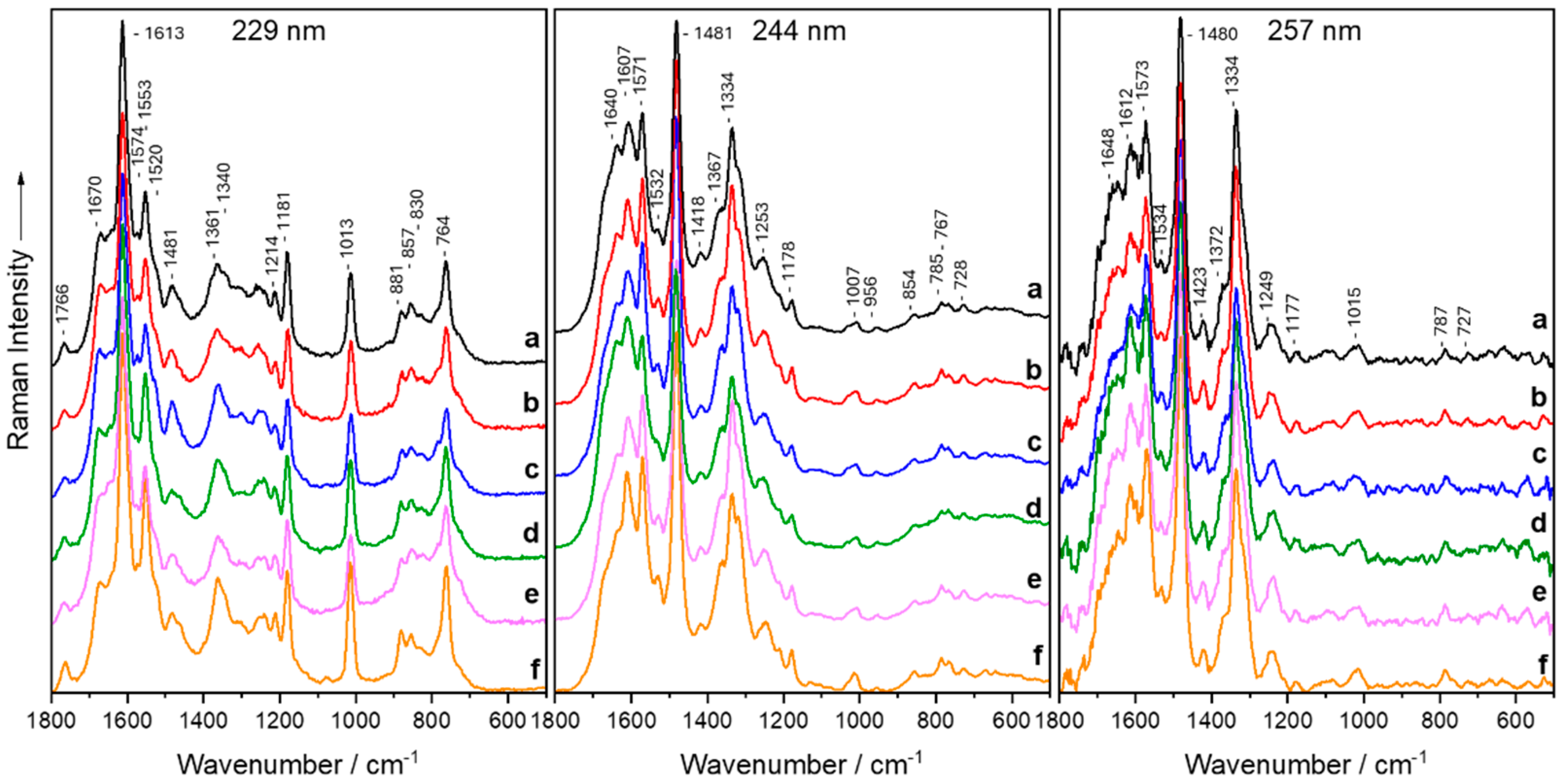 Molecules 29 05956 g001