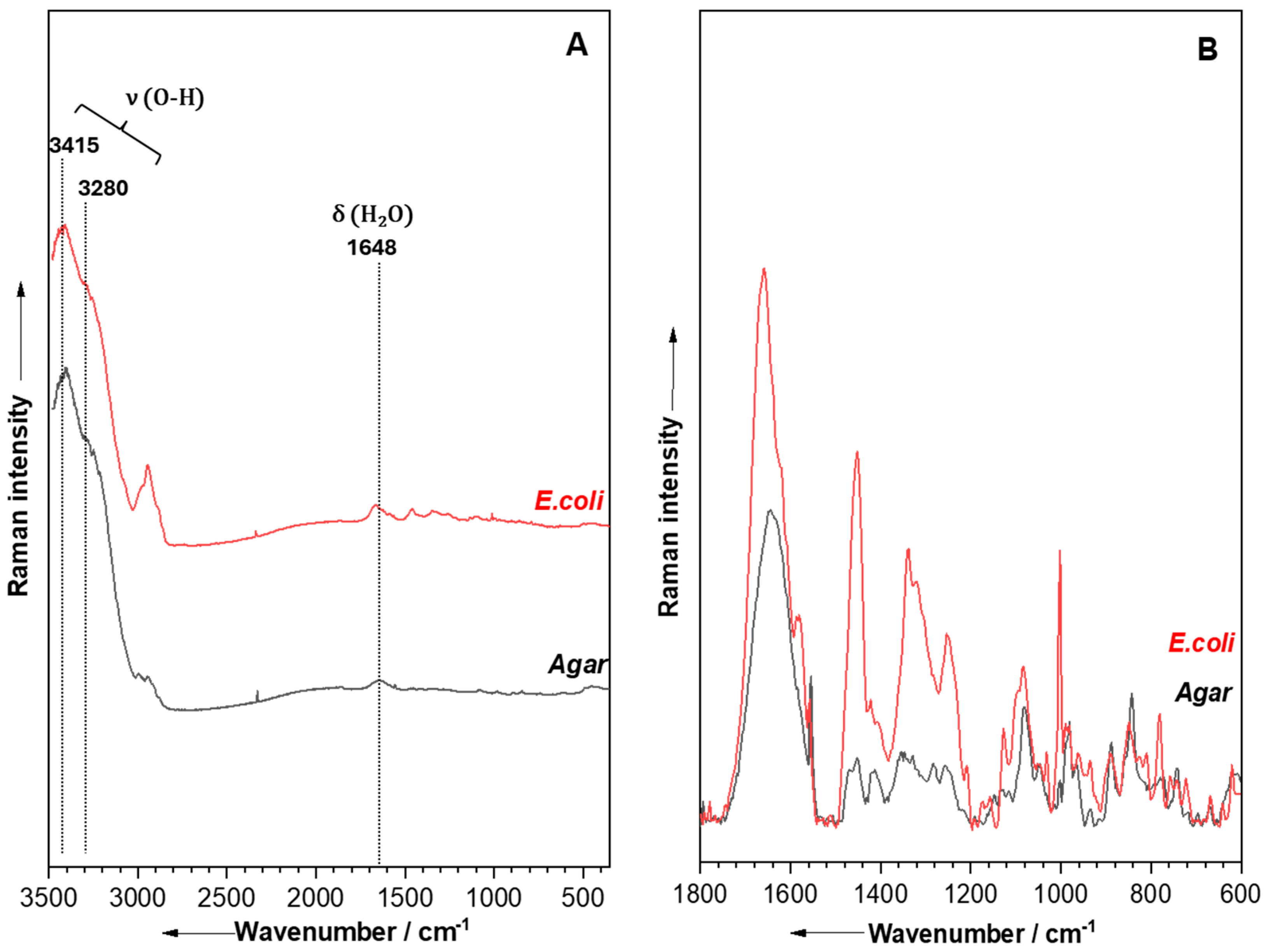 Molecules 29 05956 g004