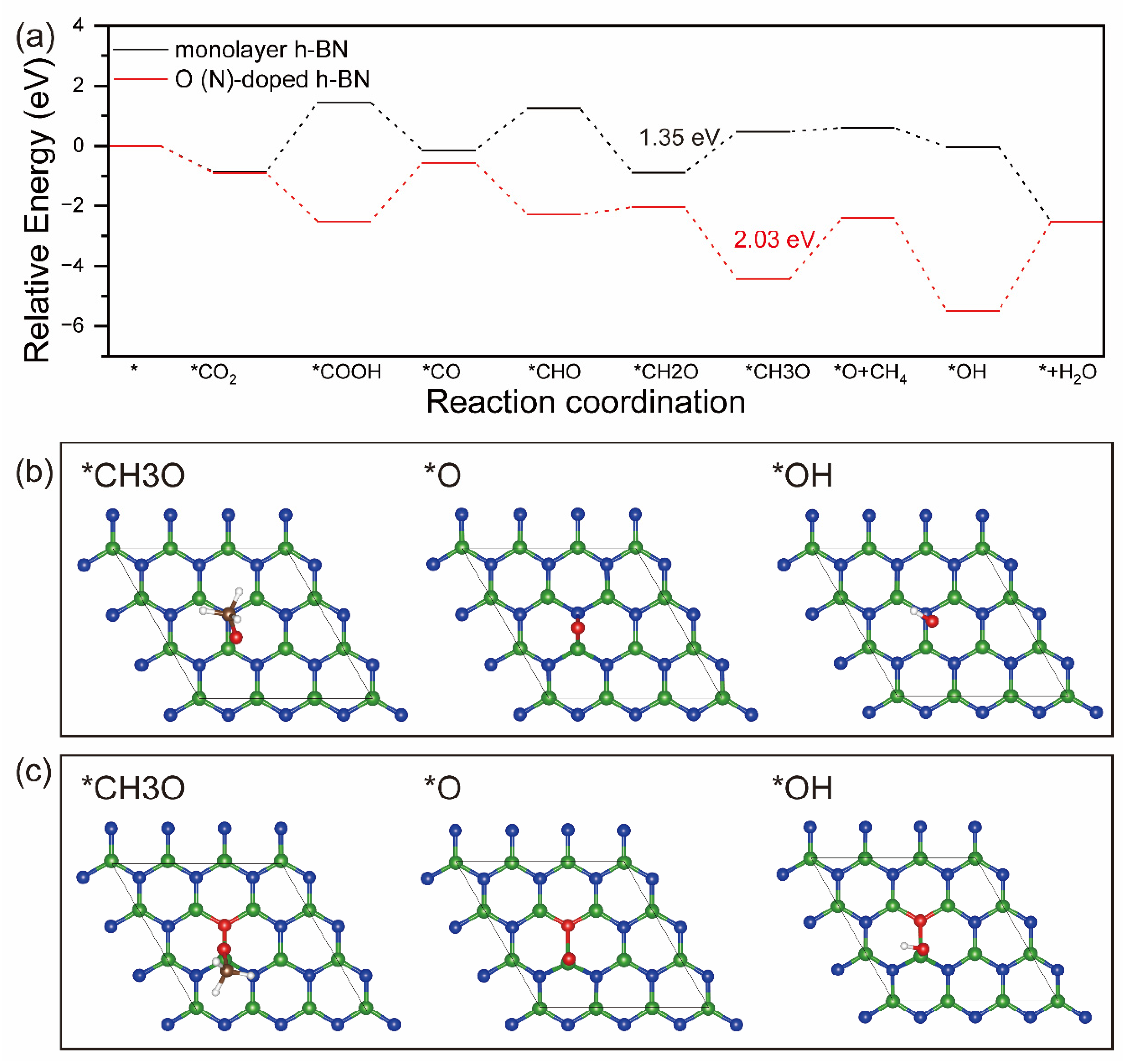Molecules 29 05960 g006