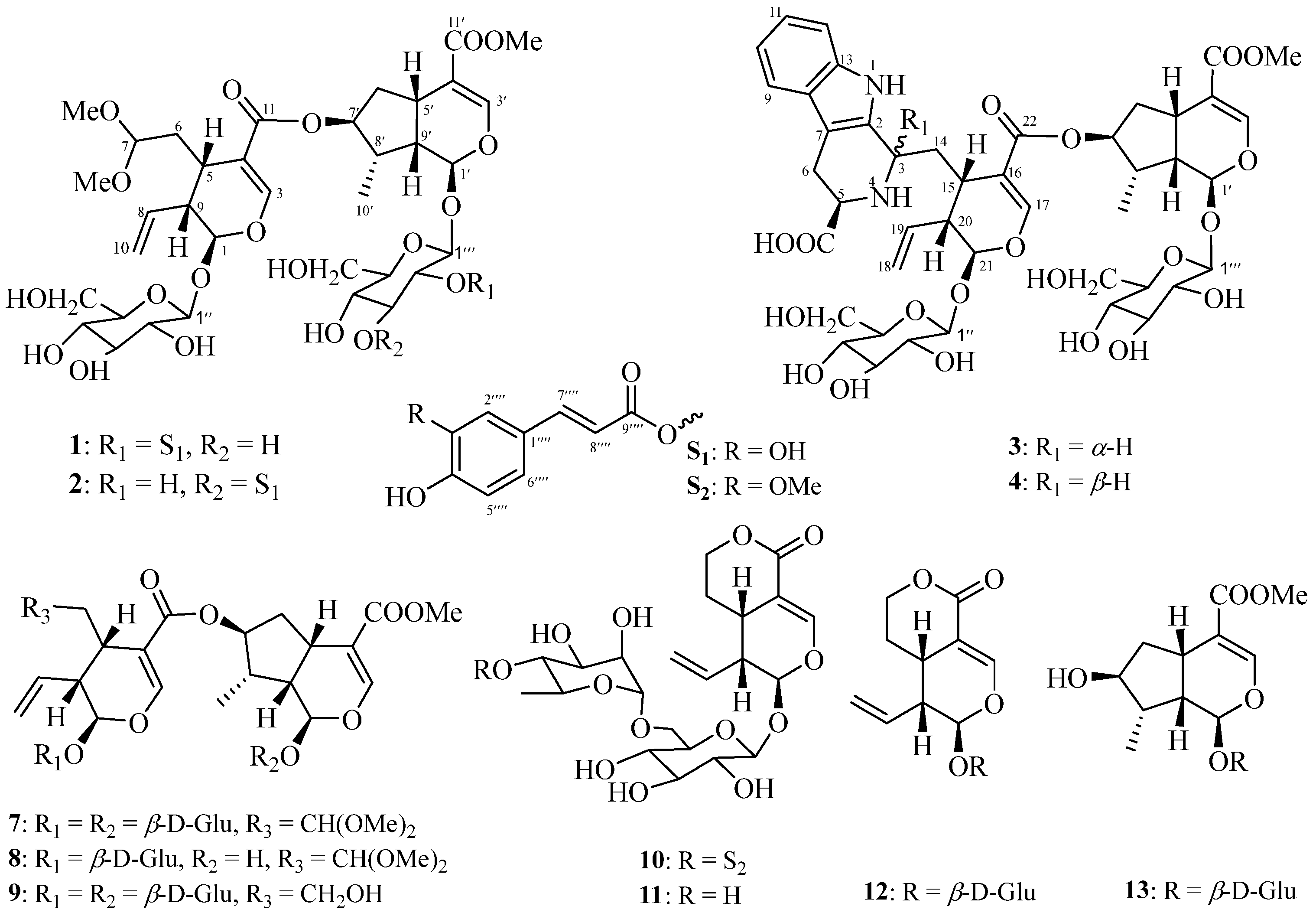 Molecules 29 05980 g001 Molecules 29 05980 g001
