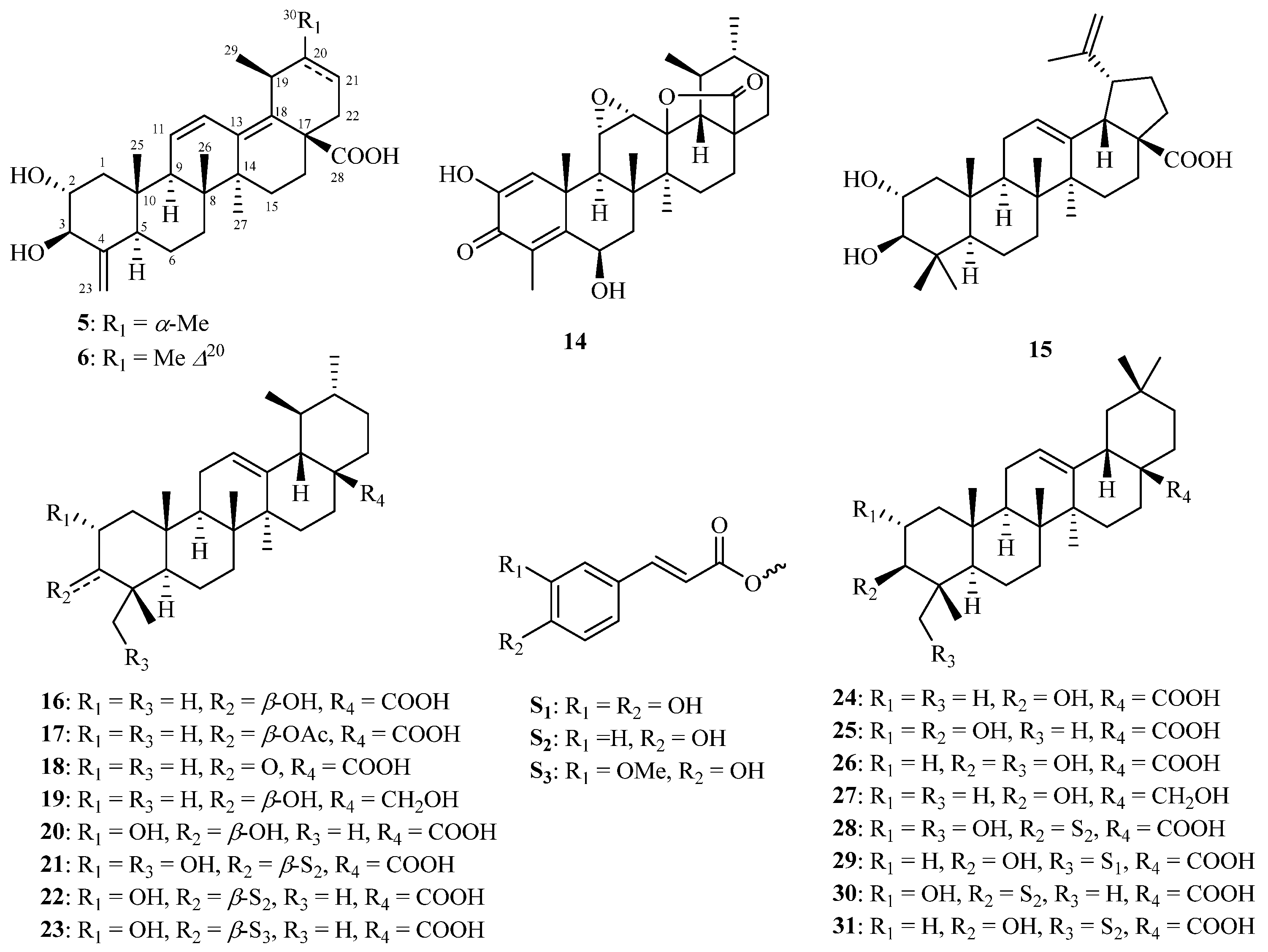 Molecules 29 05980 g002 Molecules 29 05980 g002