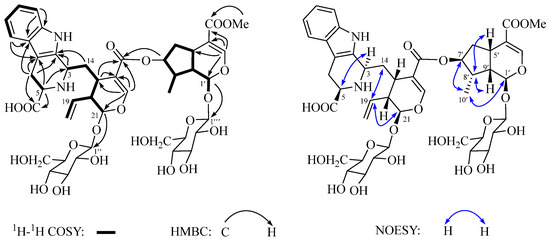 Bis-Iridoid Glycosides and Triterpenoids from Kolkwitzia amabilis
