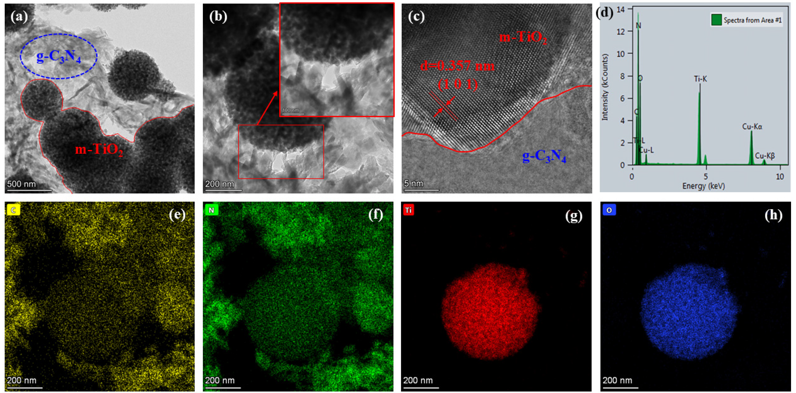 Molecules 29 05981 g003