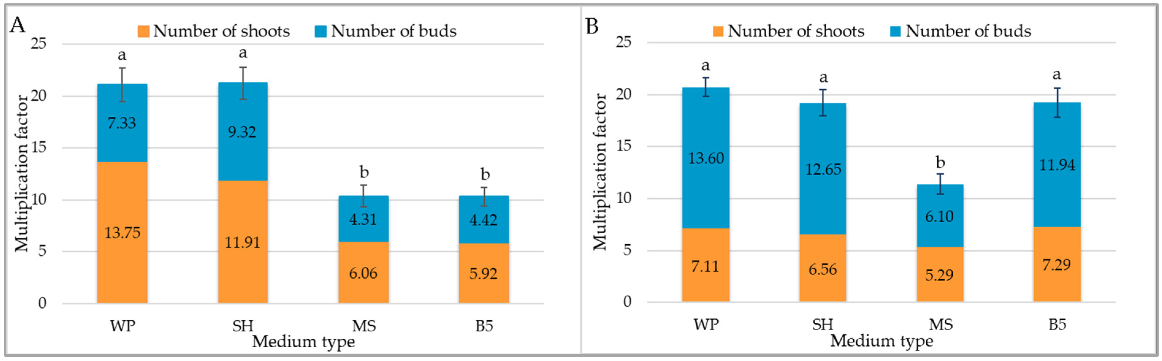 Molecules 29 05983 g001 Molecules 29 05983 g001
