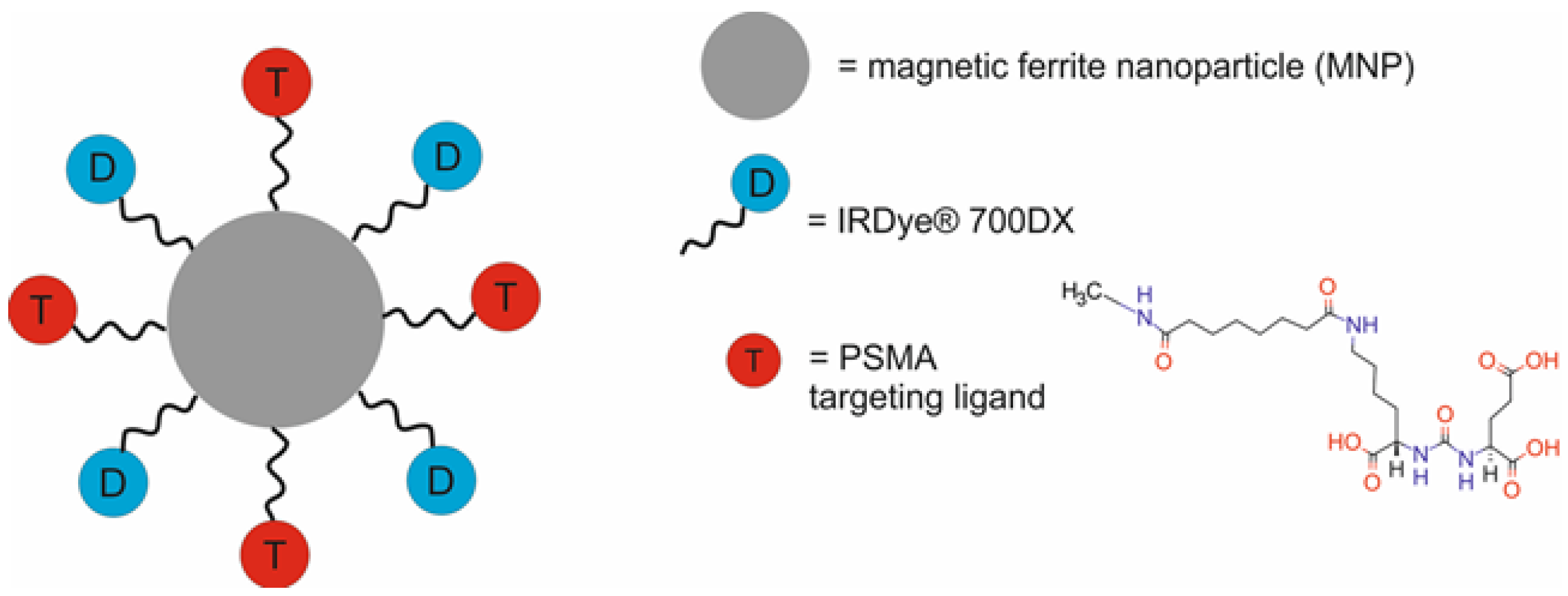 Molecules 29 05985 g004