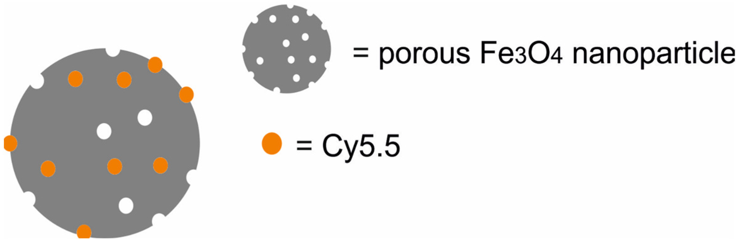 Molecules 29 05985 g005