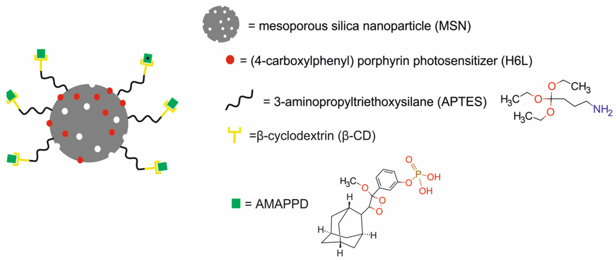 Molecules 29 05985 g021