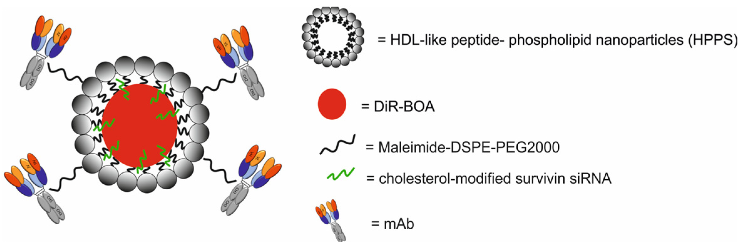 Molecules 29 05985 g026