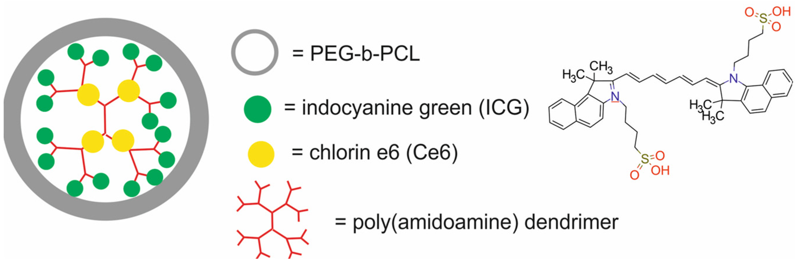 Molecules 29 05985 g030
