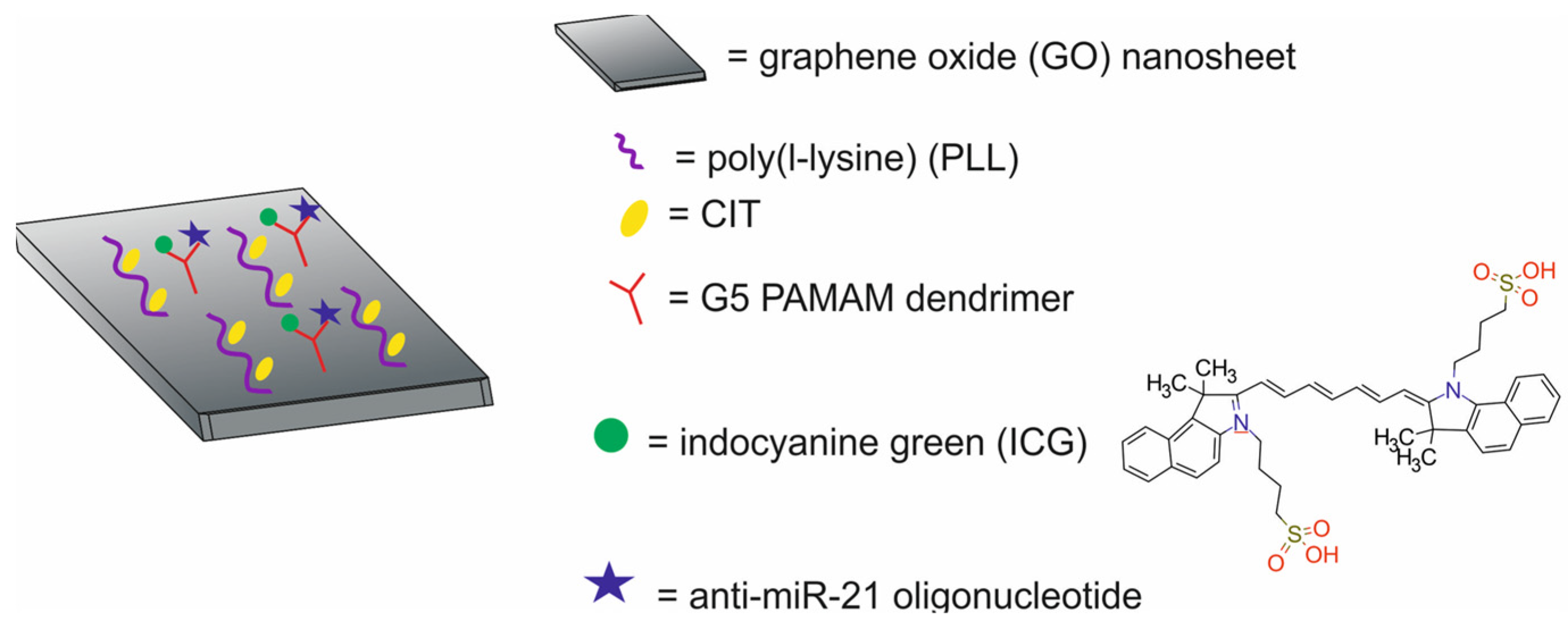 Molecules 29 05985 g033