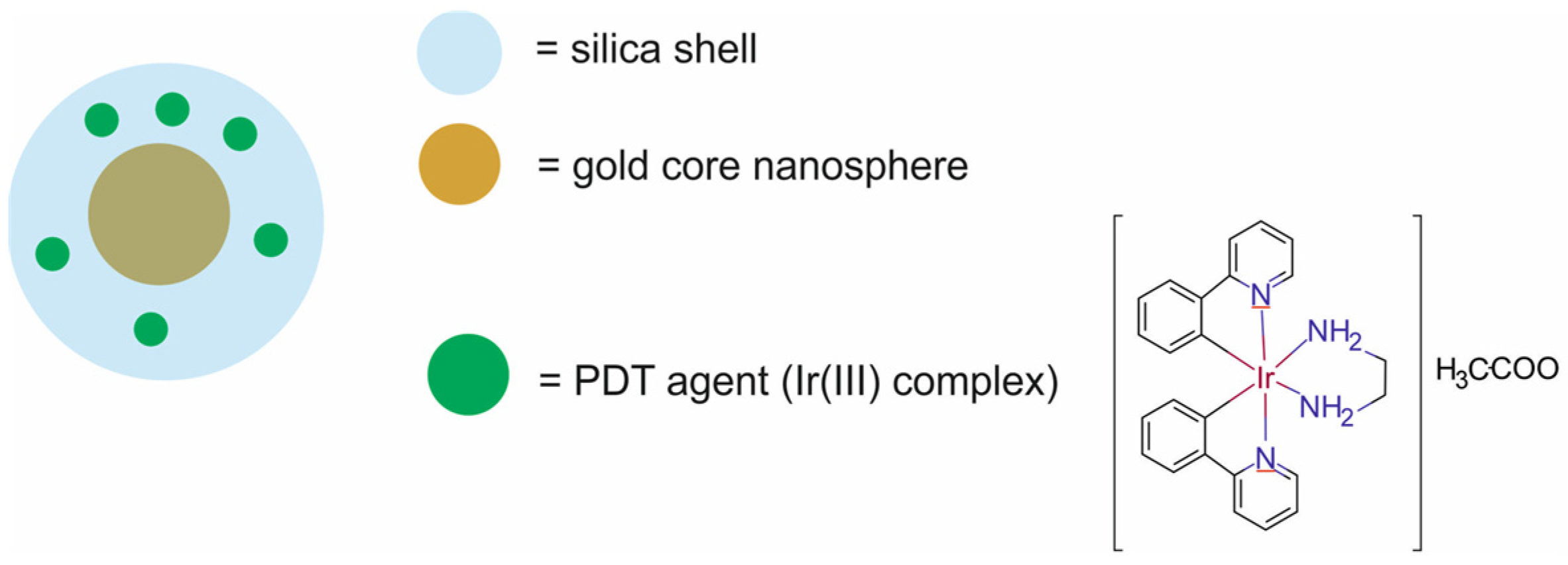 Molecules 29 05985 g036