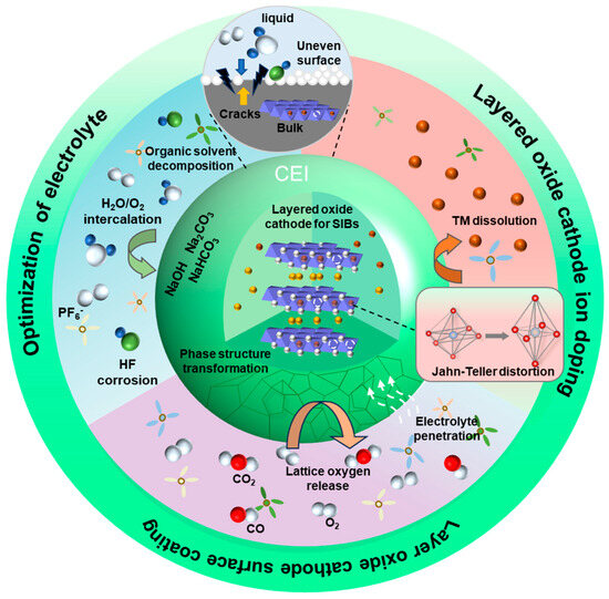 Interface Issues of Layered Transition Metal Oxide Cathodes for