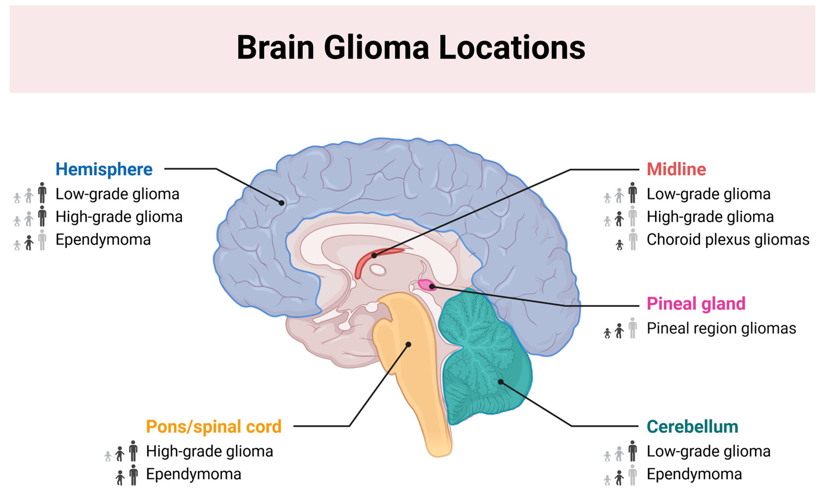Molecules 29 05989 g001 Molecules 29 05989 g001