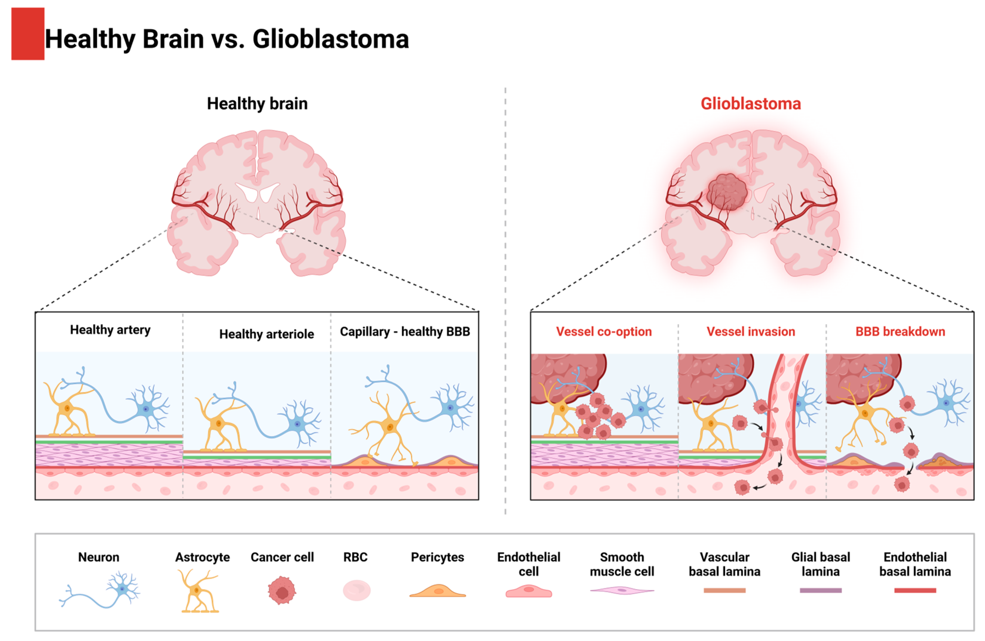 Molecules 29 05989 g002 Molecules 29 05989 g002