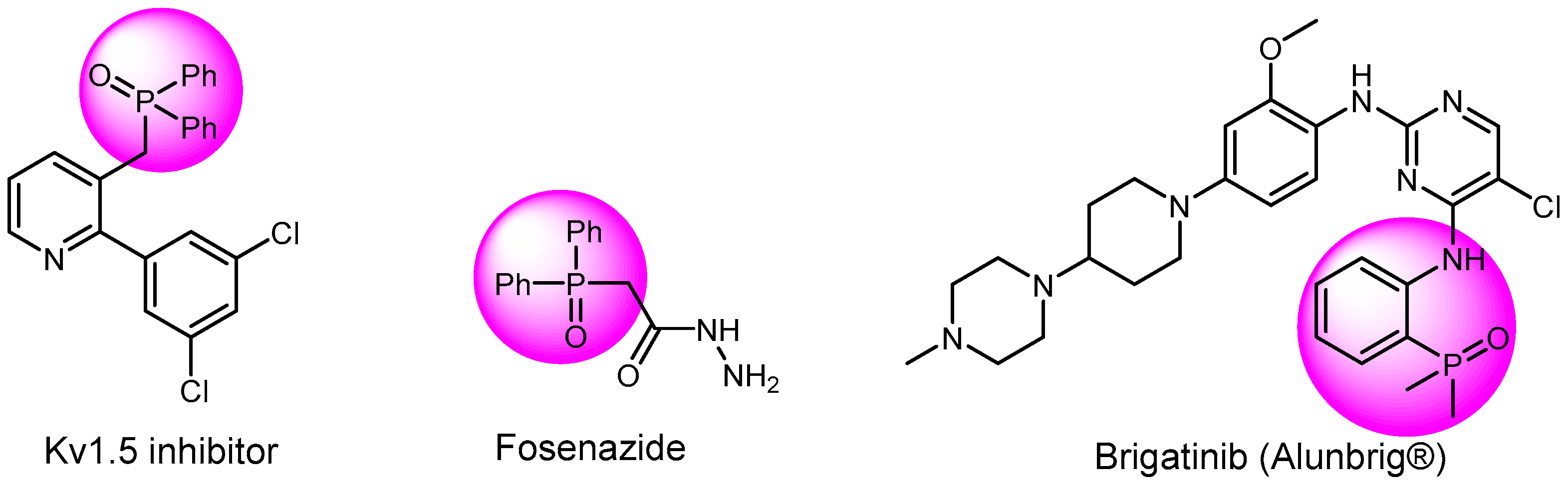 Molecules 29 05992 g002