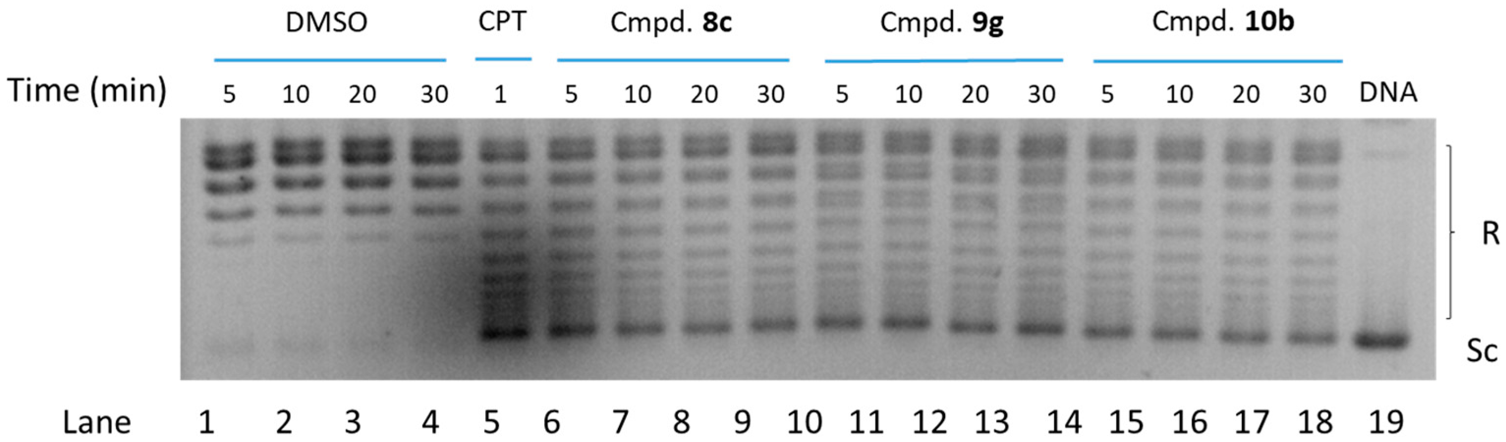 Molecules 29 05992 g004