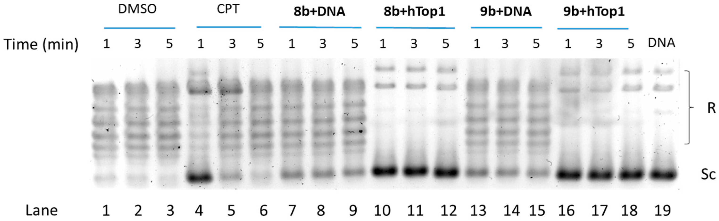 Molecules 29 05992 g005