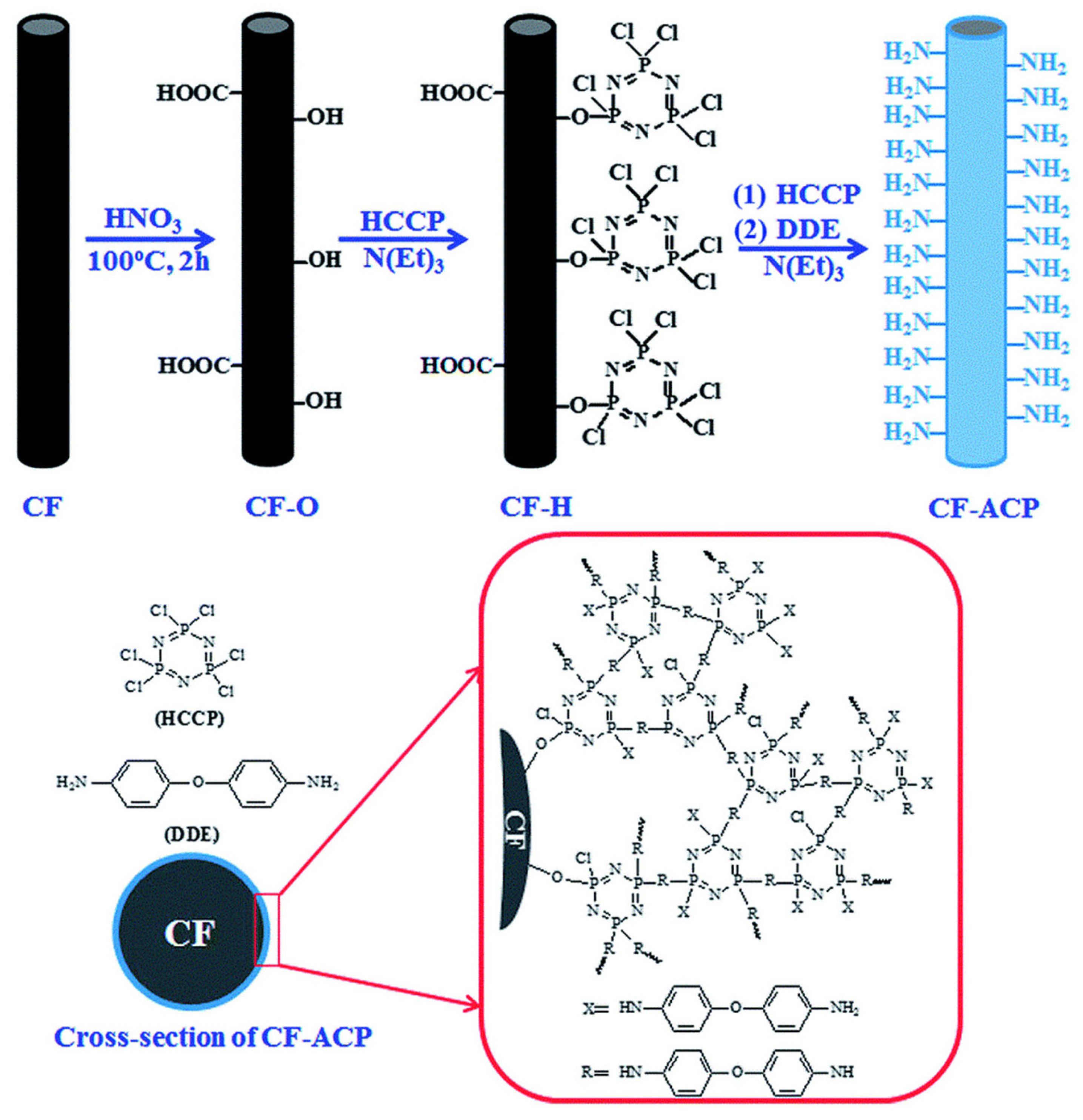 Molecules 29 05996 g001