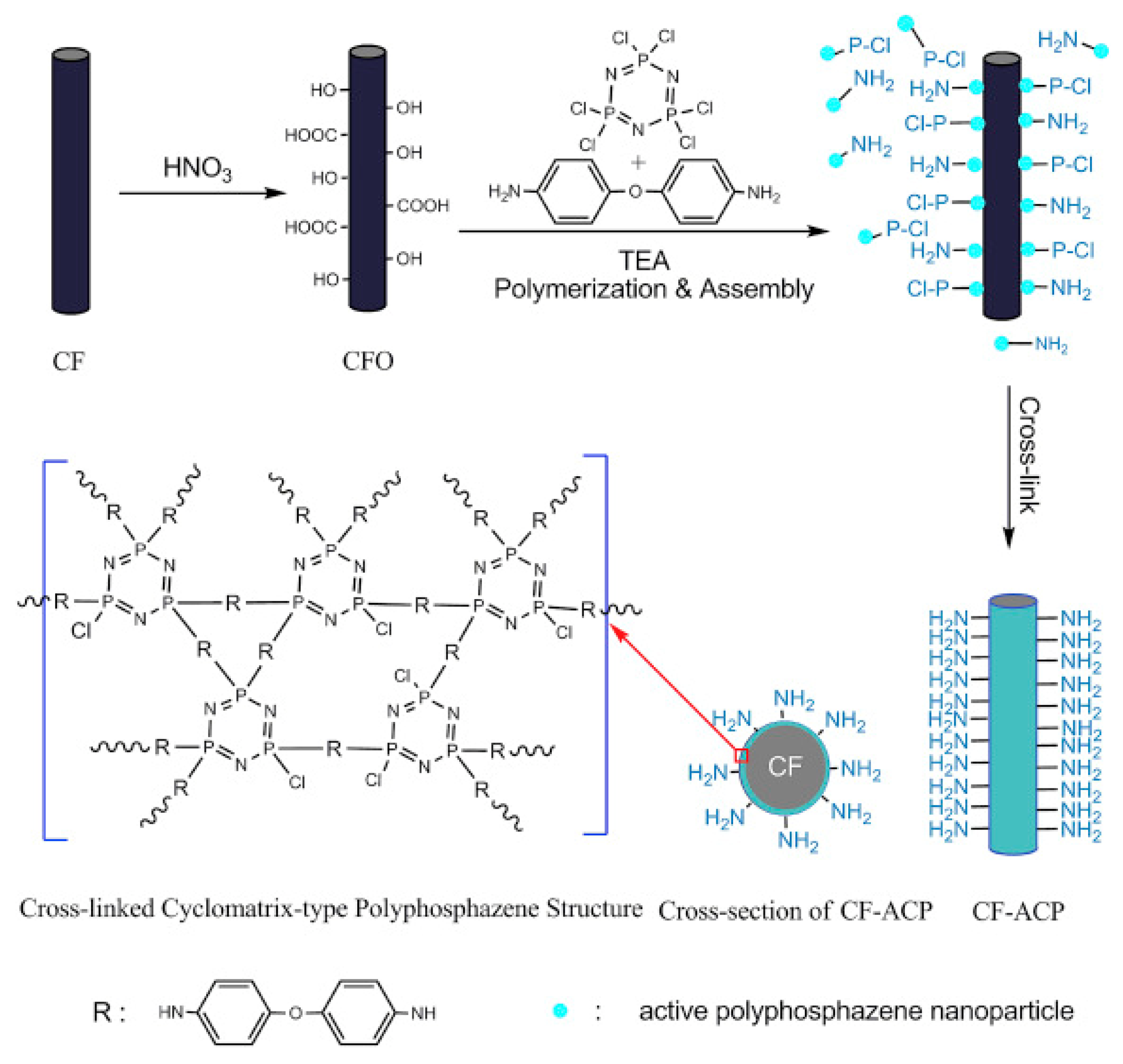 Molecules 29 05996 g006
