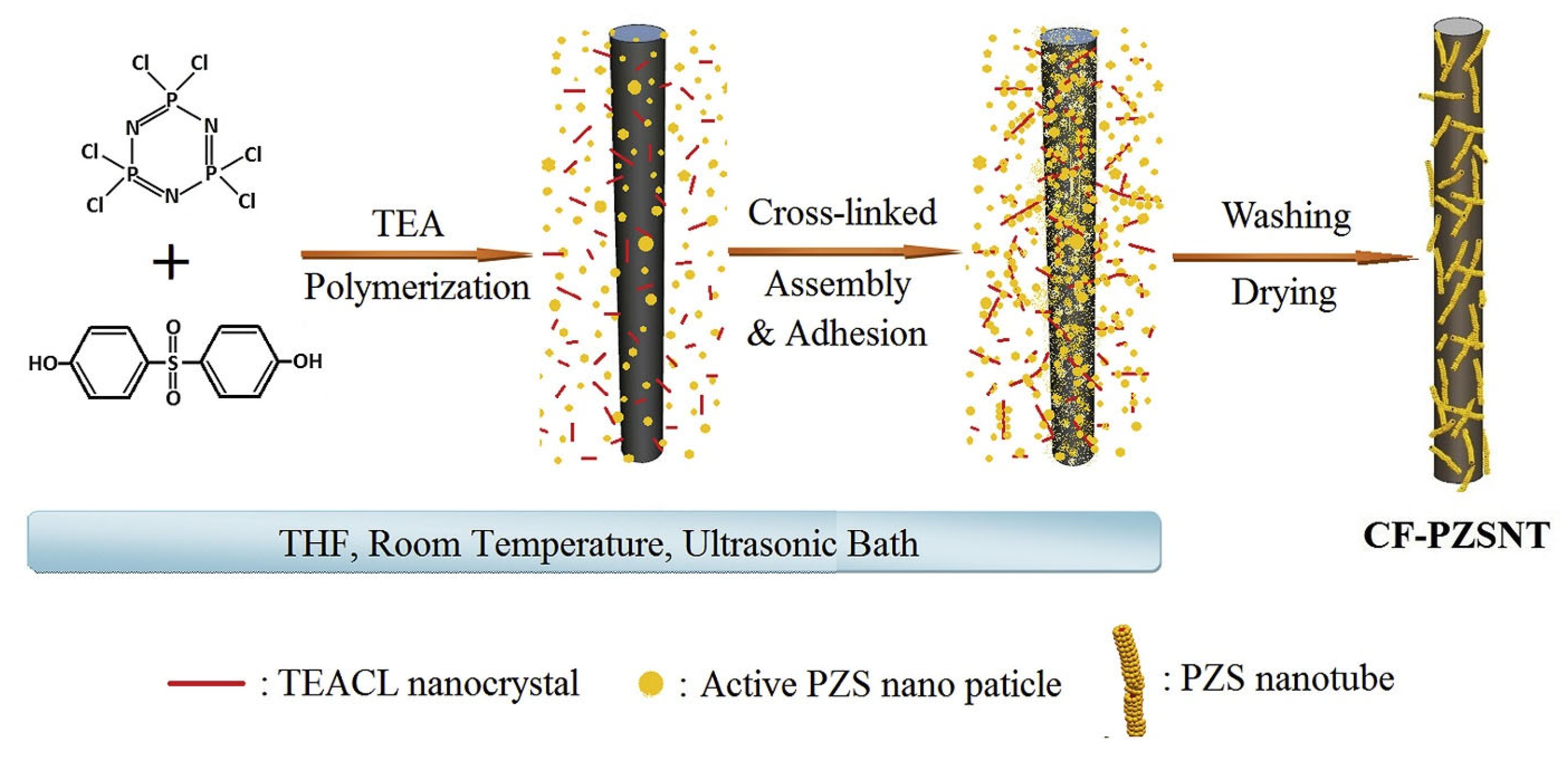 Molecules 29 05996 g013